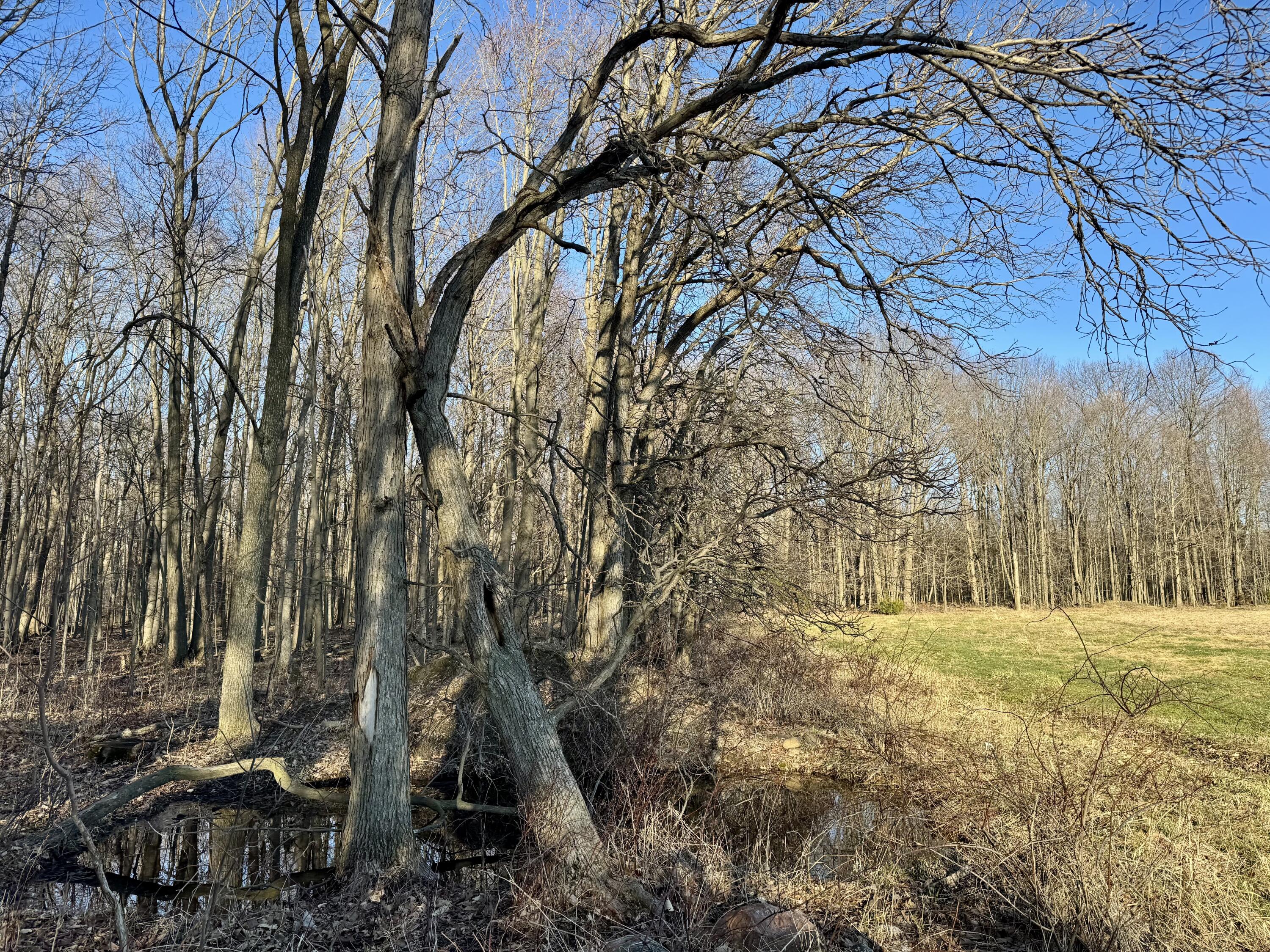 102 West Central Road Coldwater, MI 49036 - Photo 53 of 73 IMG_6906