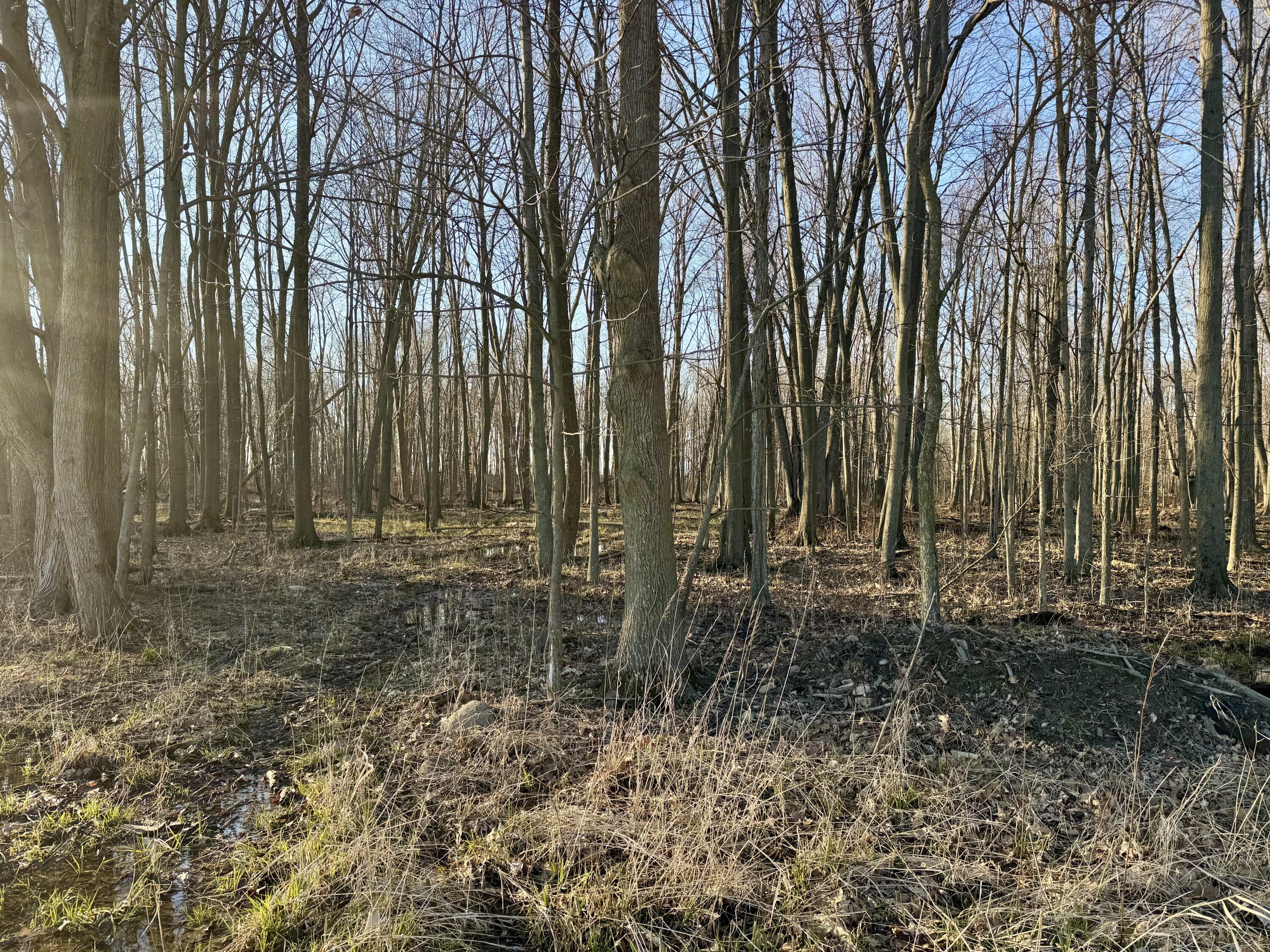 102 West Central Road Coldwater, MI 49036 - Photo 54 of 73 IMG_6920