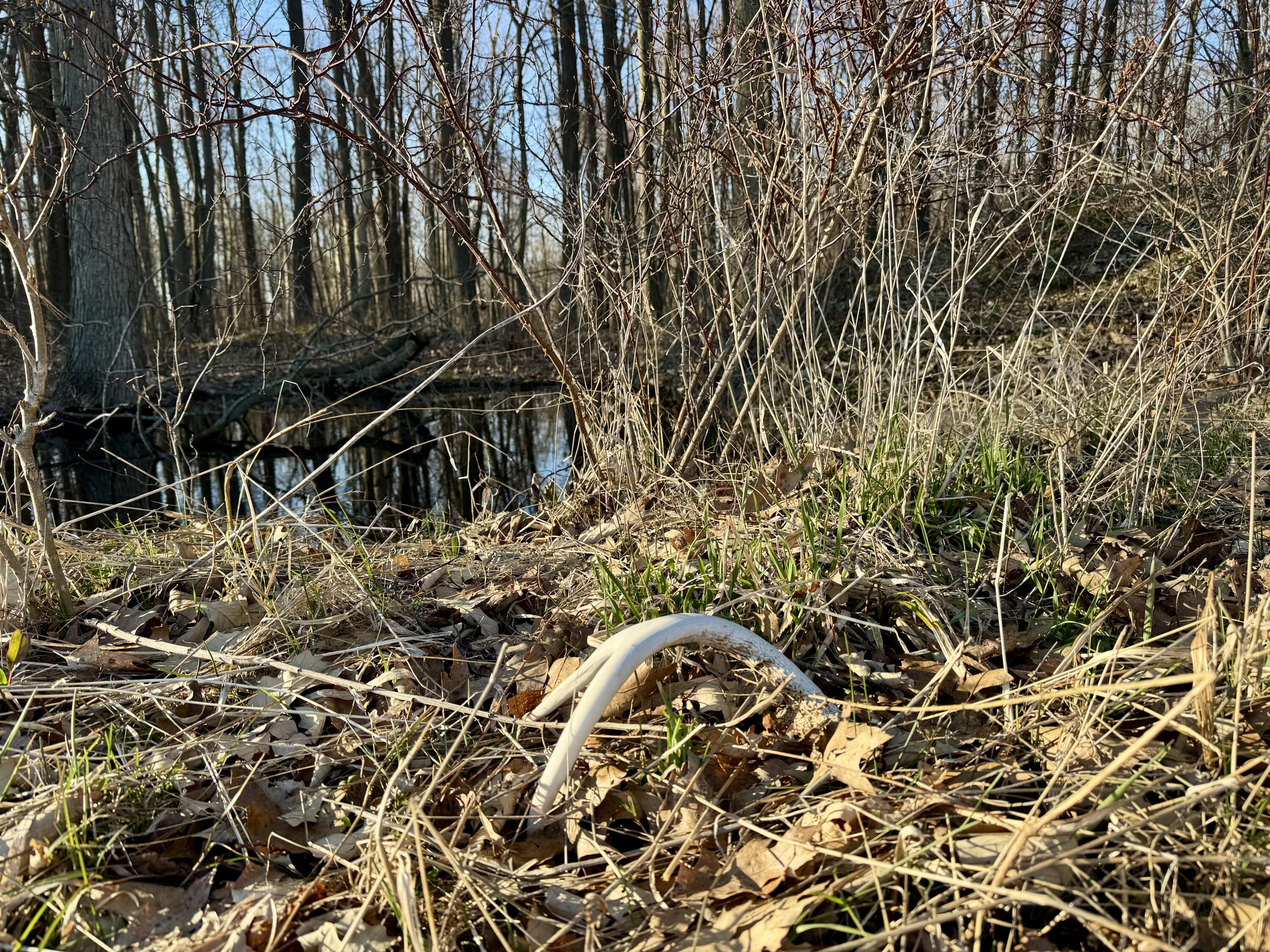 102 West Central Road Coldwater, MI 49036 - Photo 55 of 73 IMG_6910