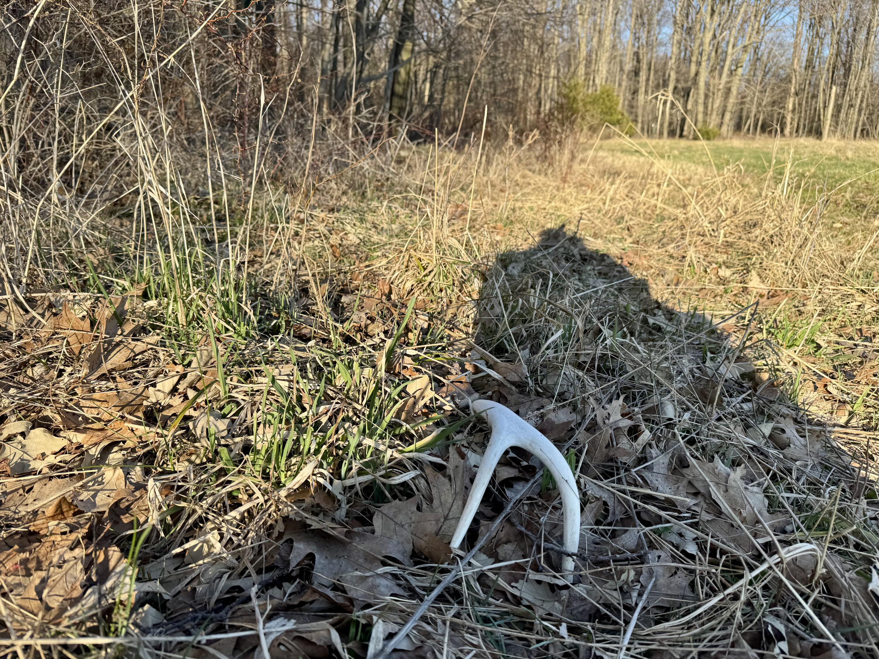 102 West Central Road Coldwater, MI 49036 - Photo 56 of 73 IMG_6909