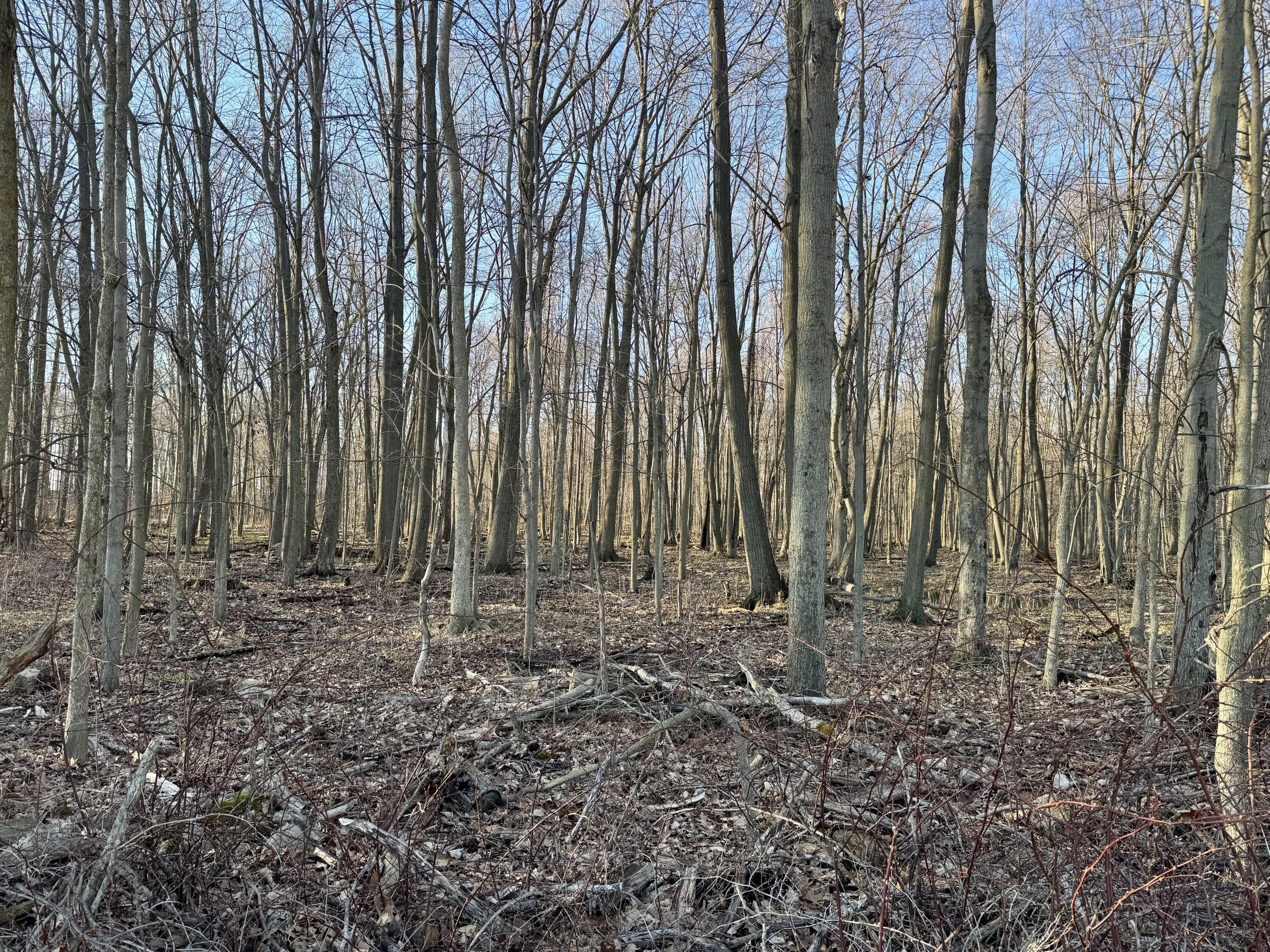 102 West Central Road Coldwater, MI 49036 - Photo 57 of 73 IMG_6911