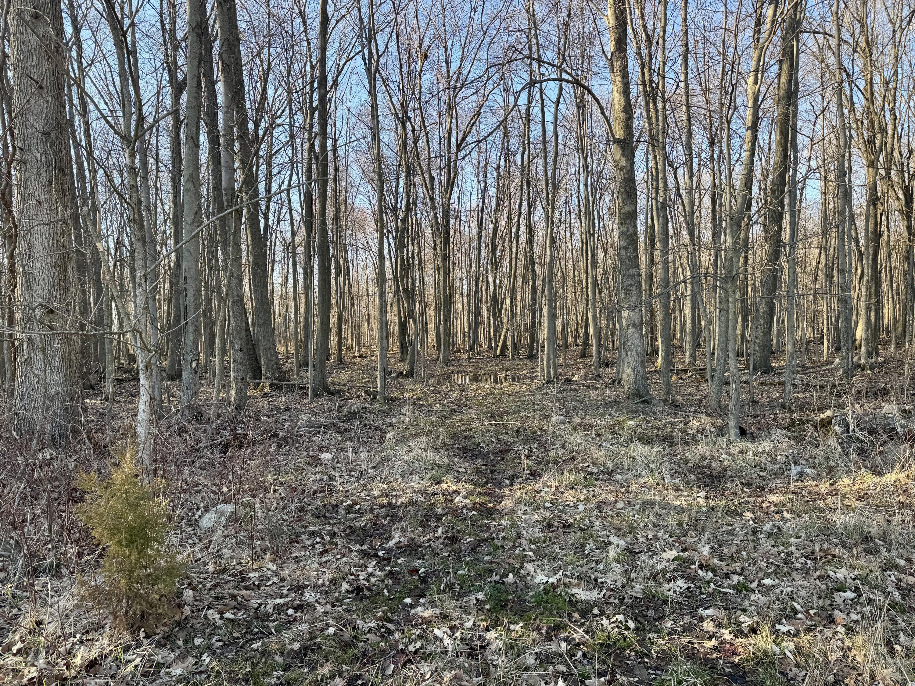 102 West Central Road Coldwater, MI 49036 - Photo 58 of 73 IMG_6912