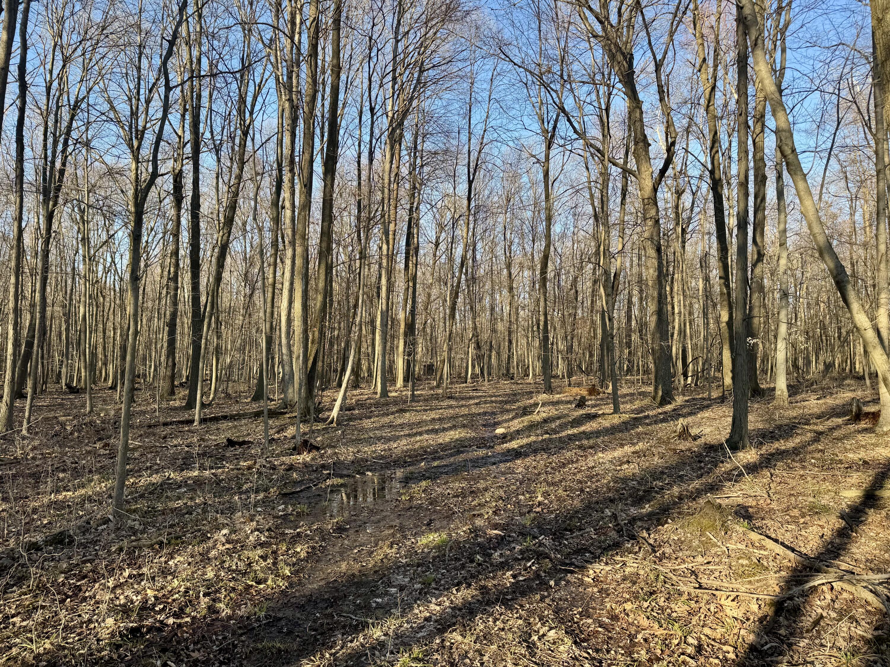 102 West Central Road Coldwater, MI 49036 - Photo 60 of 73 IMG_6914