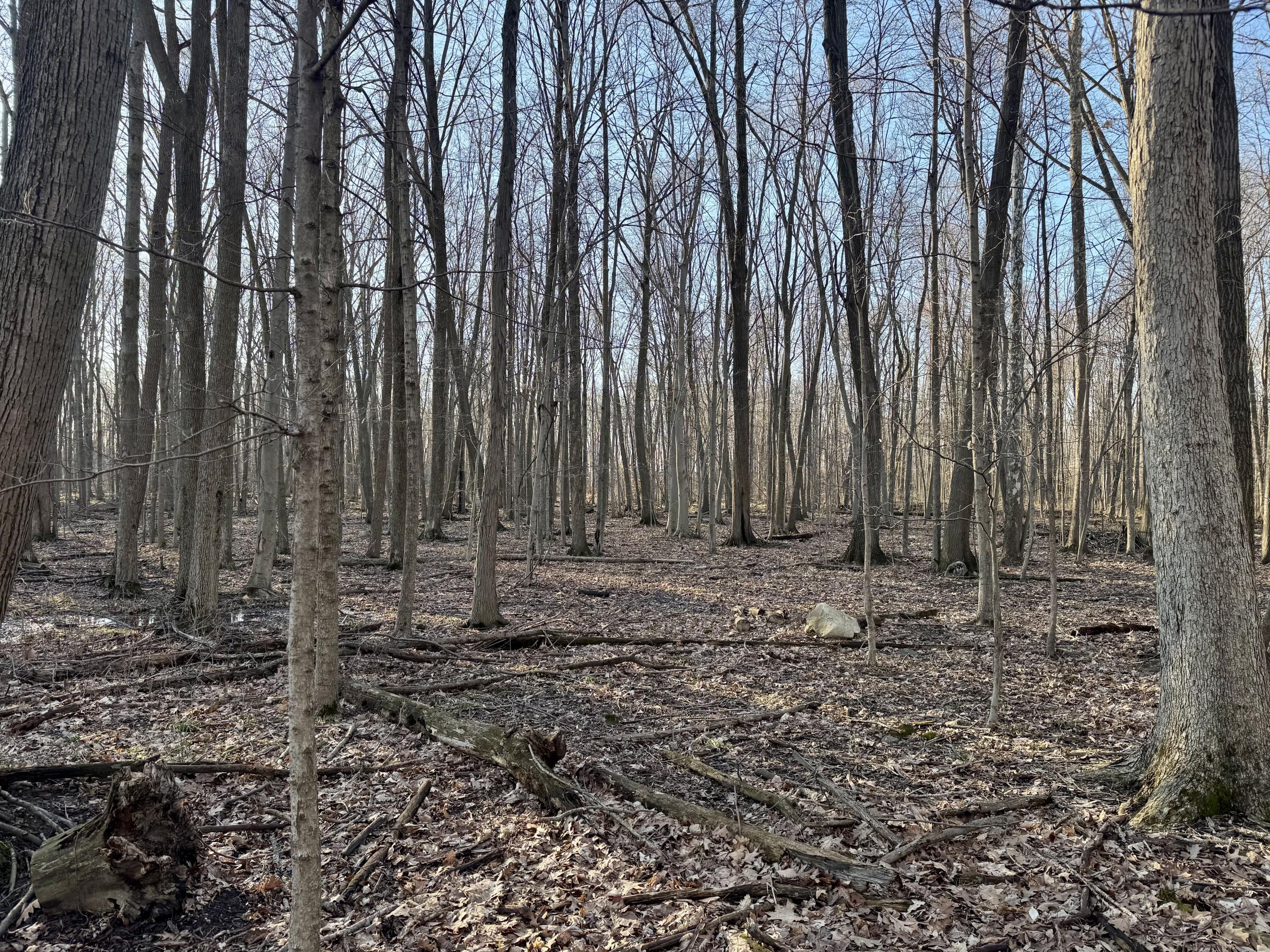 102 West Central Road Coldwater, MI 49036 - Photo 61 of 73 IMG_6916