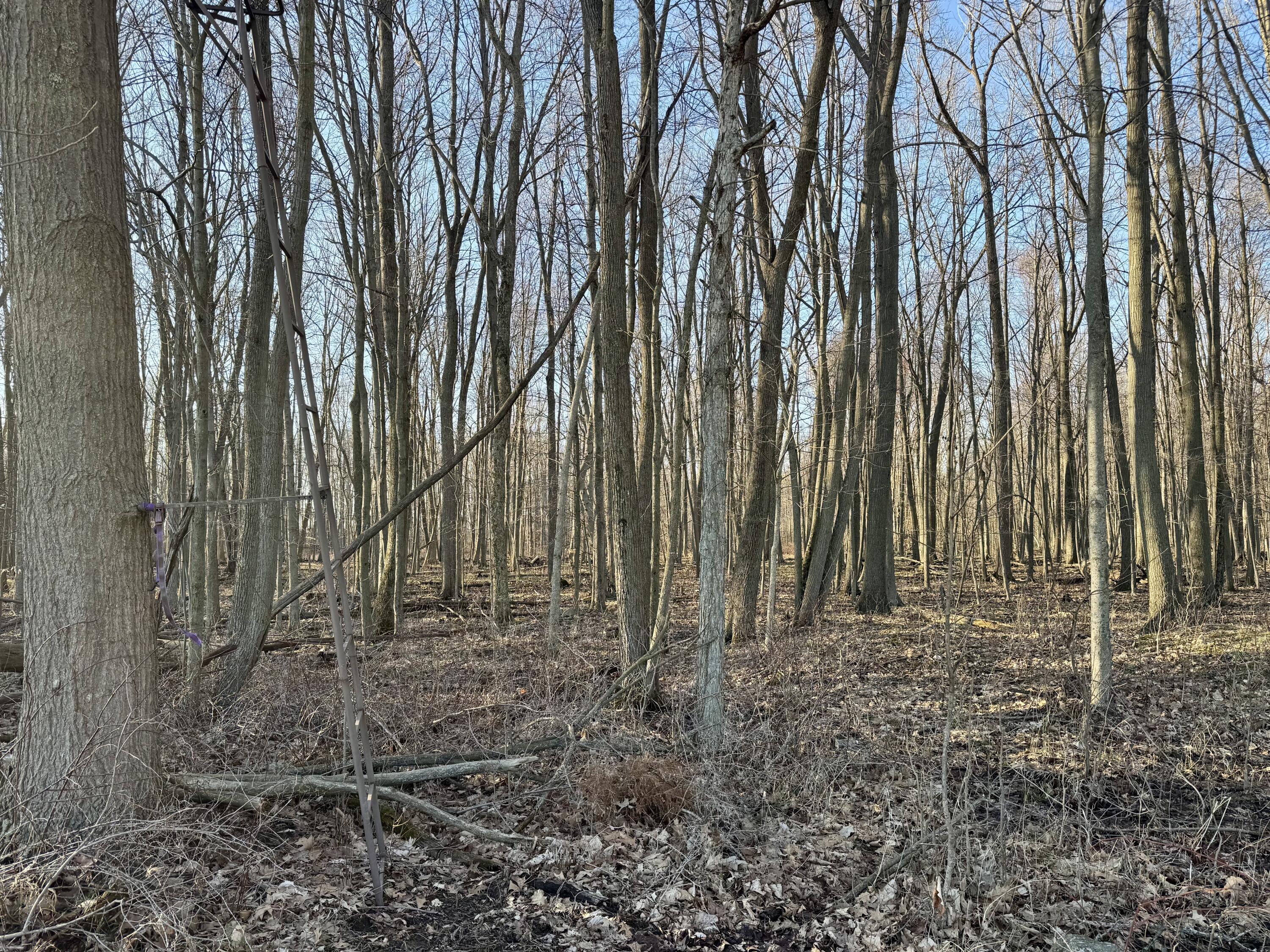 102 West Central Road Coldwater, MI 49036 - Photo 62 of 73 IMG_6904