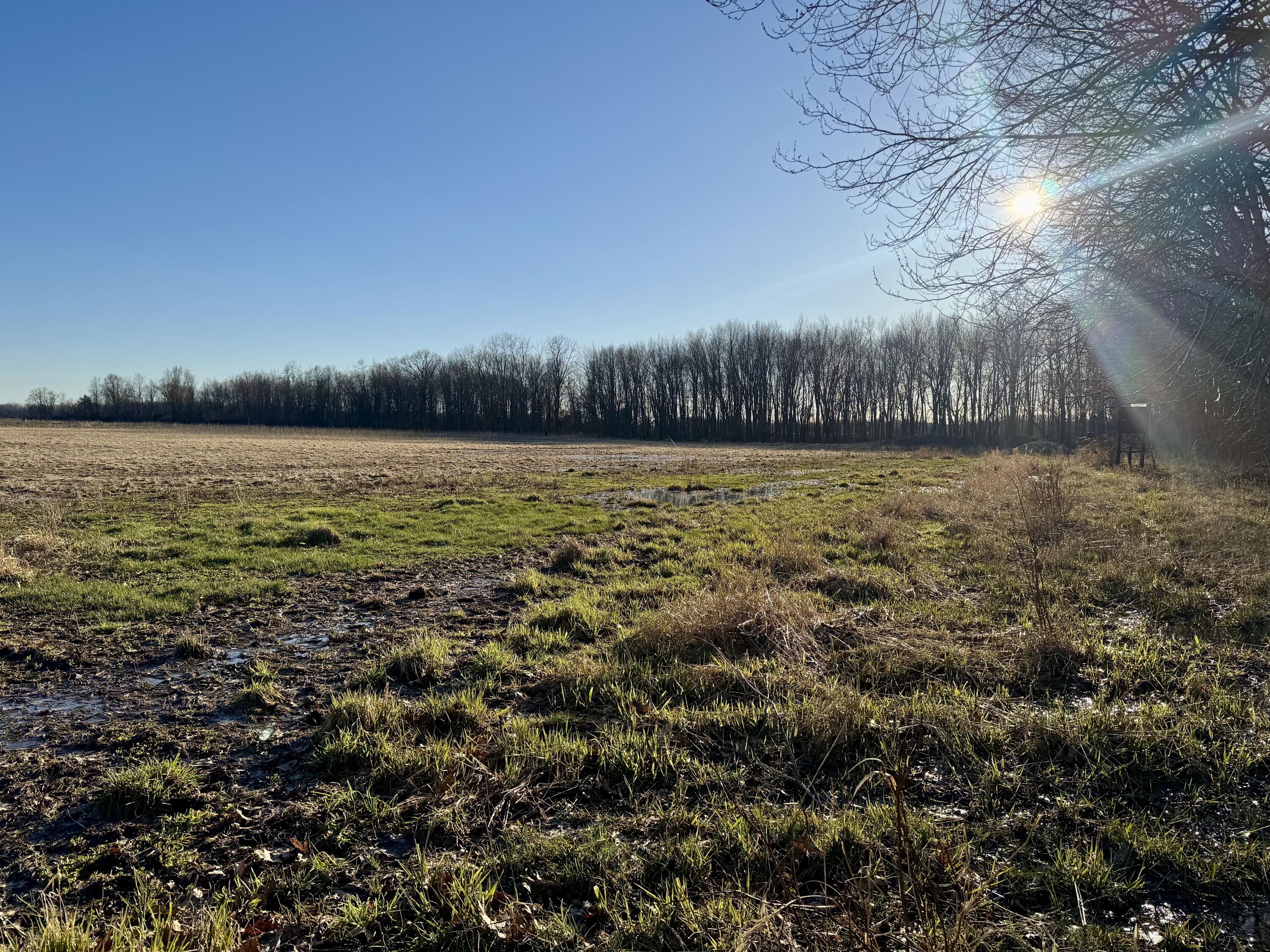 102 West Central Road Coldwater, MI 49036 - Photo 63 of 73 IMG_6919