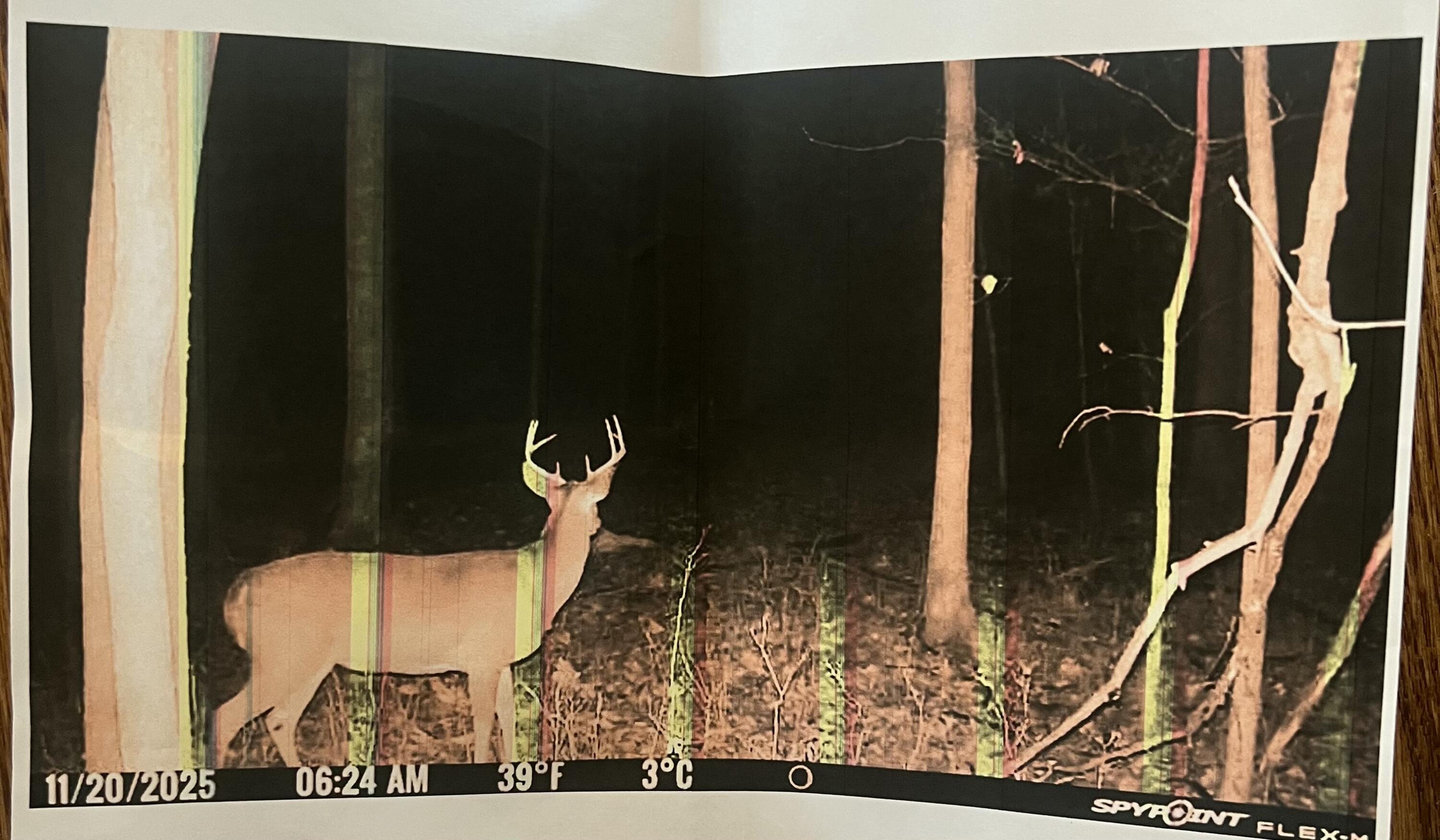 102 West Central Road Coldwater, MI 49036 - Photo 66 of 73 IMG_6943