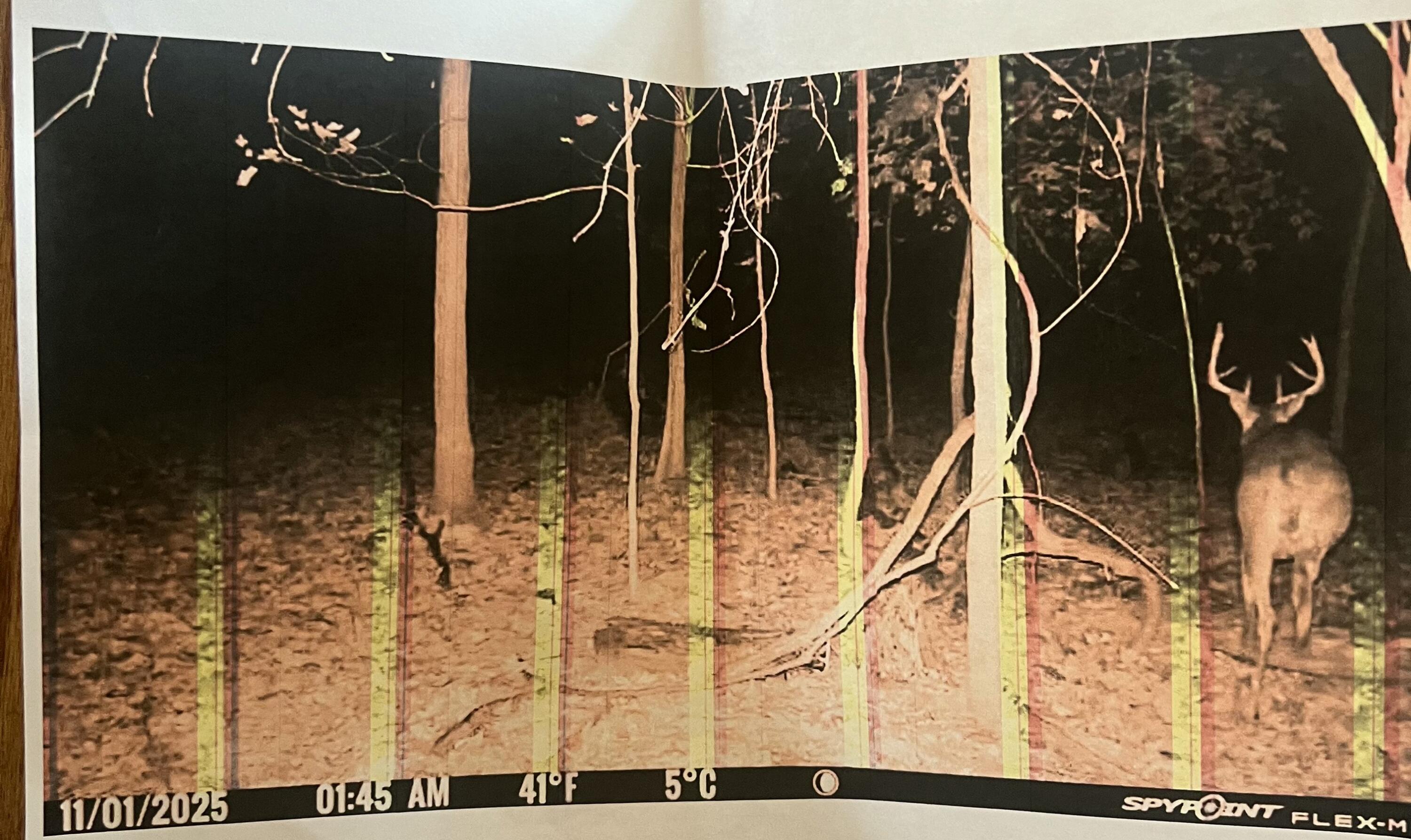 102 West Central Road Coldwater, MI 49036 - Photo 67 of 73 IMG_6941