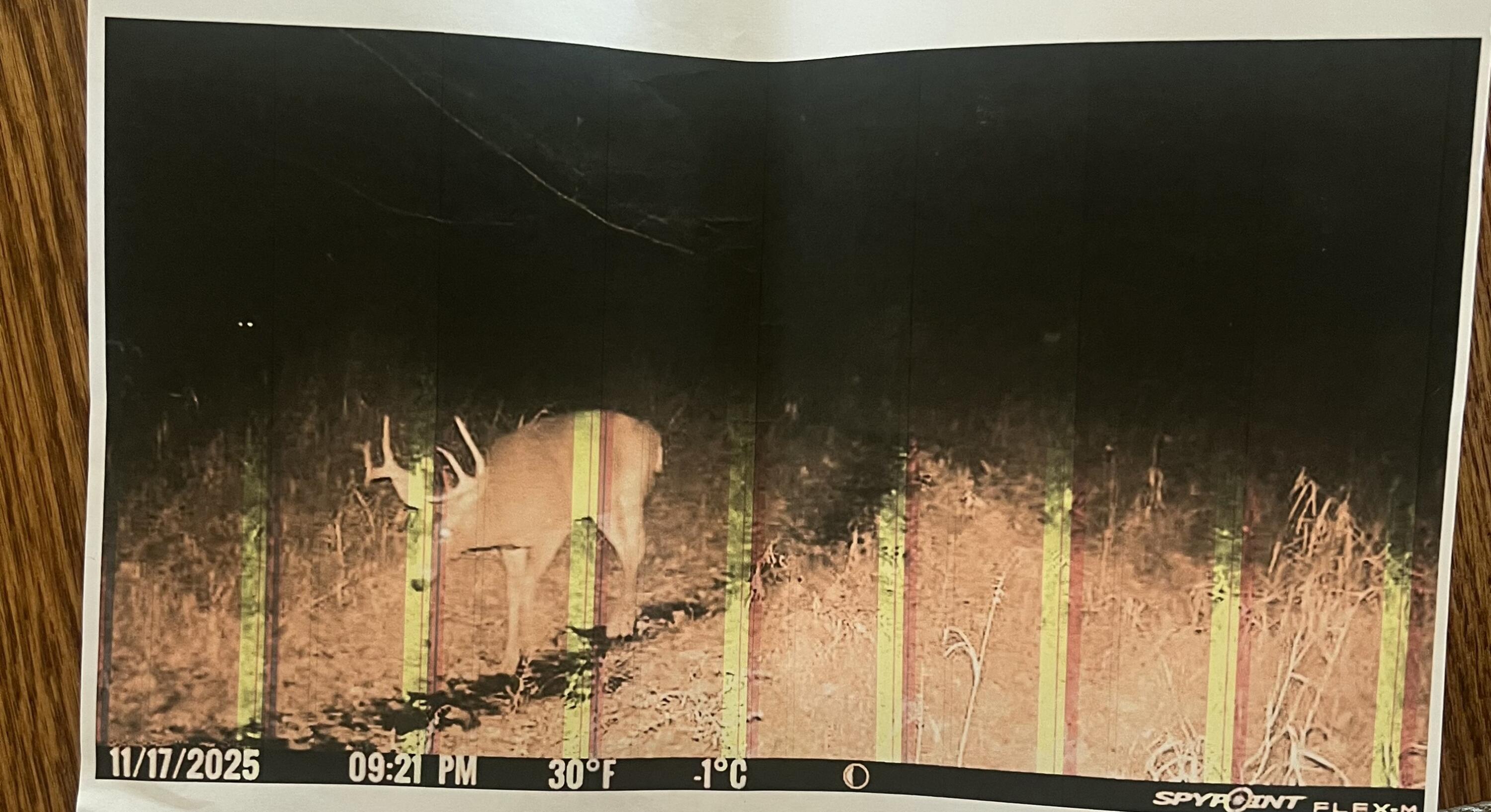 102 West Central Road Coldwater, MI 49036 - Photo 68 of 73 IMG_6942