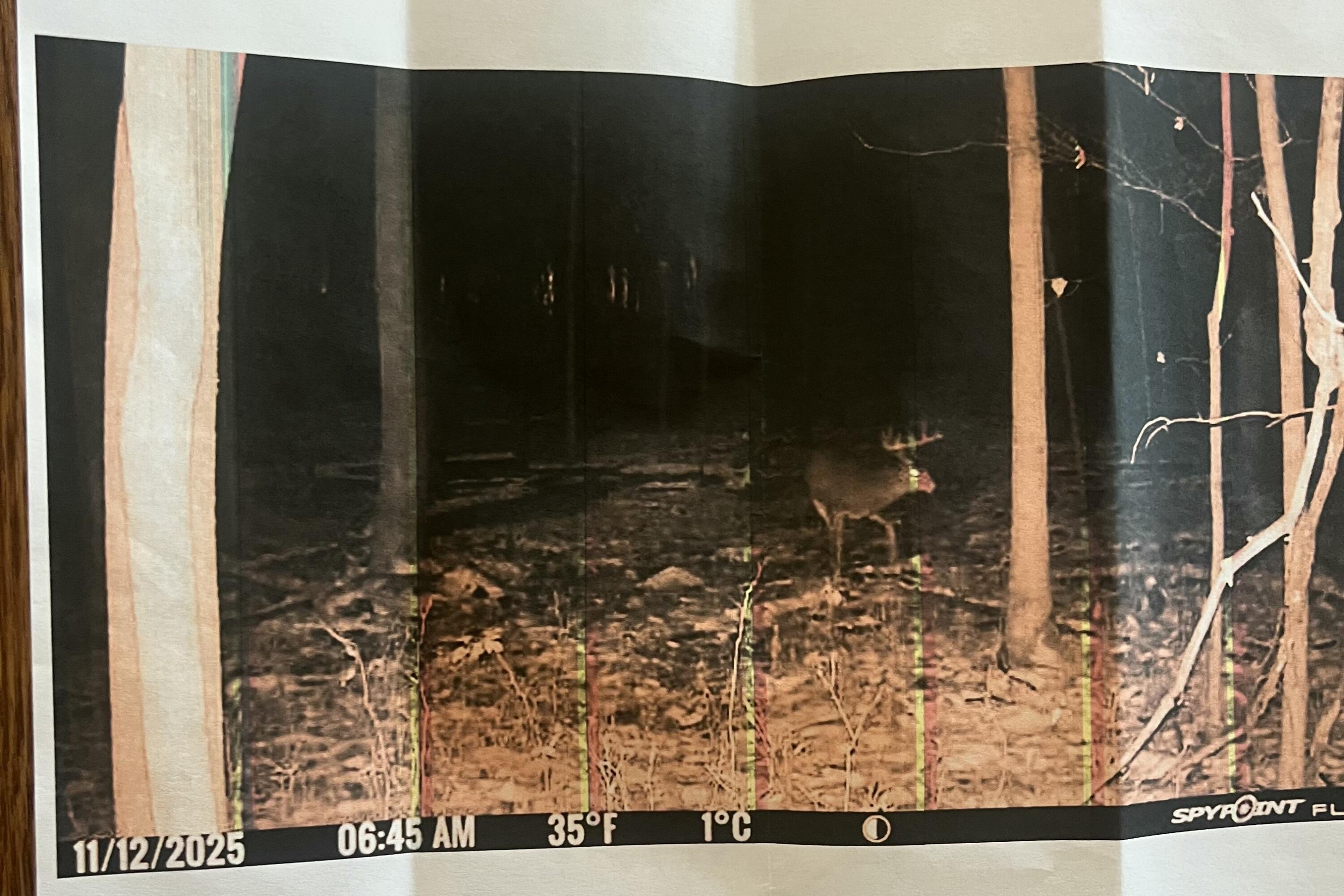 102 West Central Road Coldwater, MI 49036 - Photo 69 of 73 IMG_6944