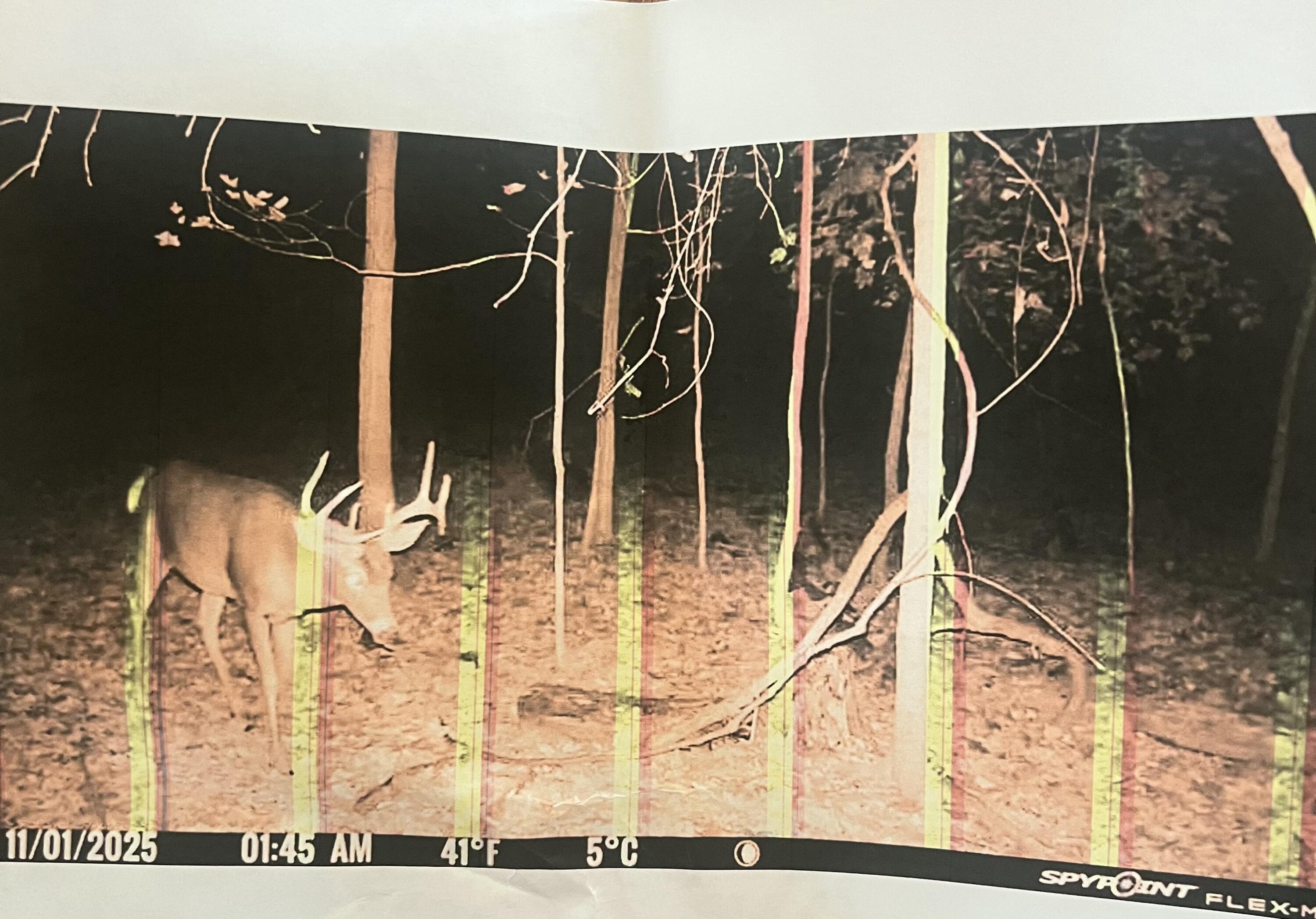 102 West Central Road Coldwater, MI 49036 - Photo 70 of 73 IMG_6946