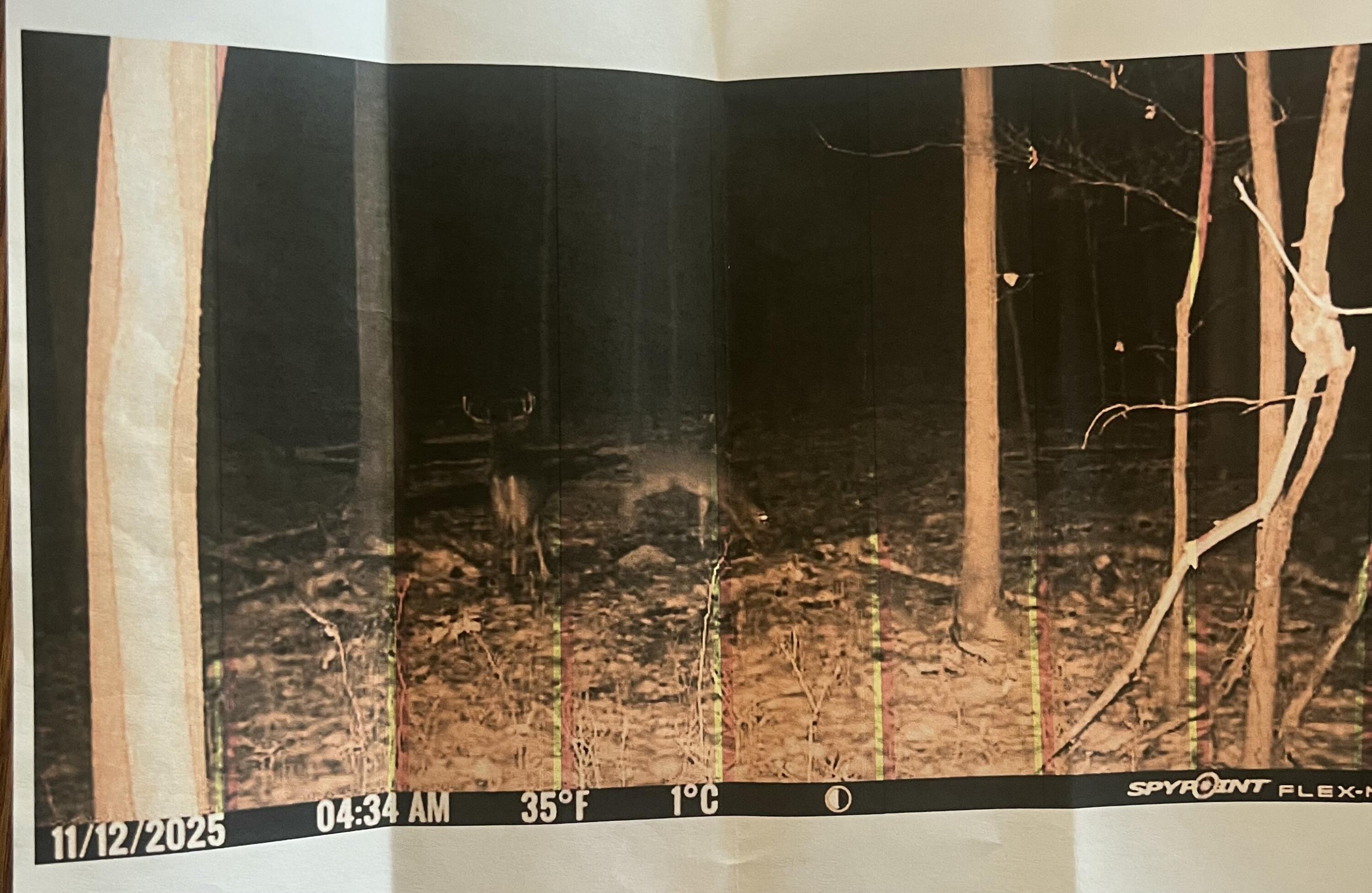 102 West Central Road Coldwater, MI 49036 - Photo 71 of 73 IMG_6945