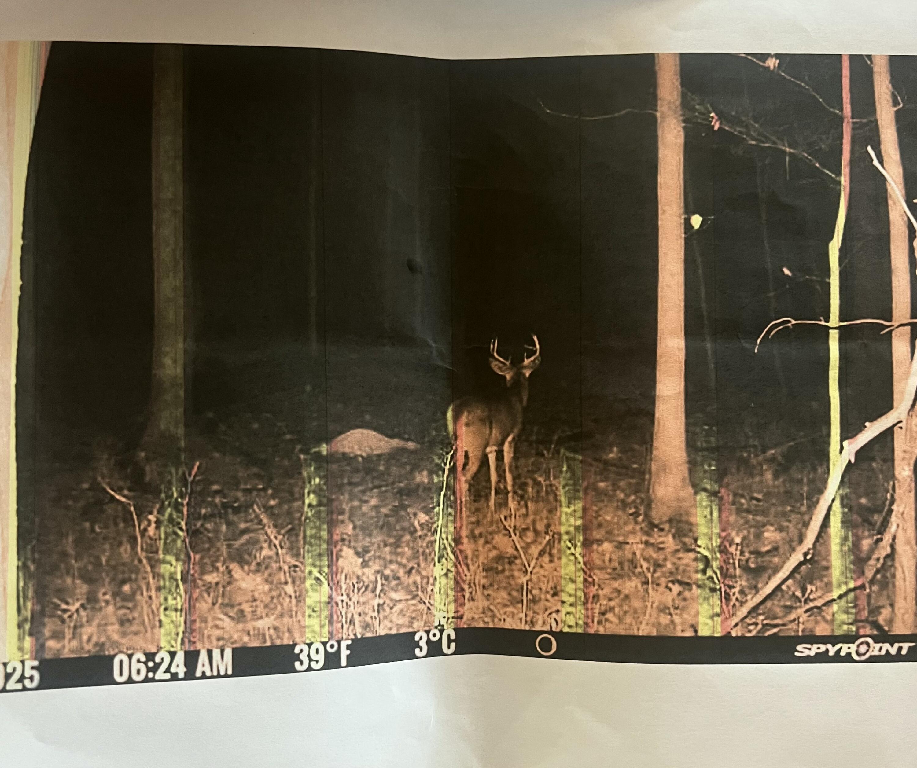 102 West Central Road Coldwater, MI 49036 - Photo 72 of 73 IMG_6947