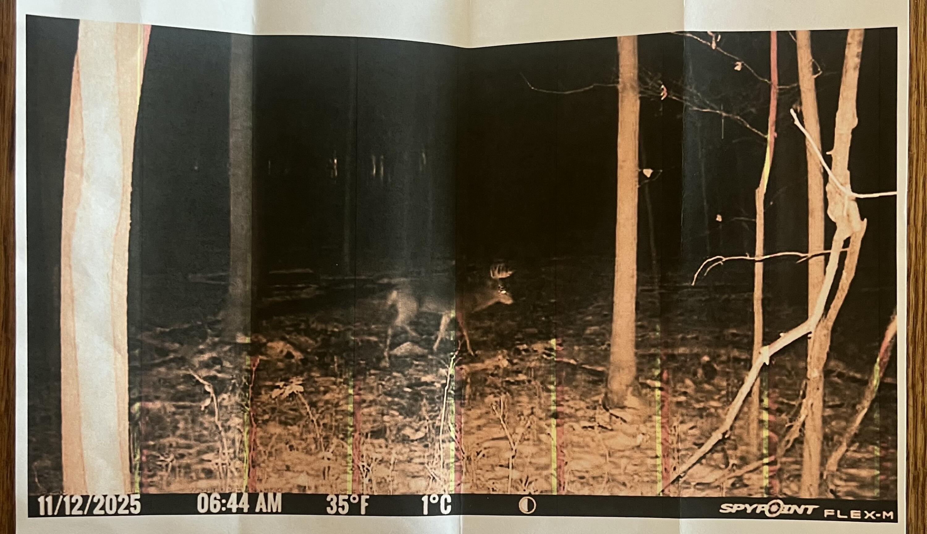 102 West Central Road Coldwater, MI 49036 - Photo 73 of 73 IMG_6938