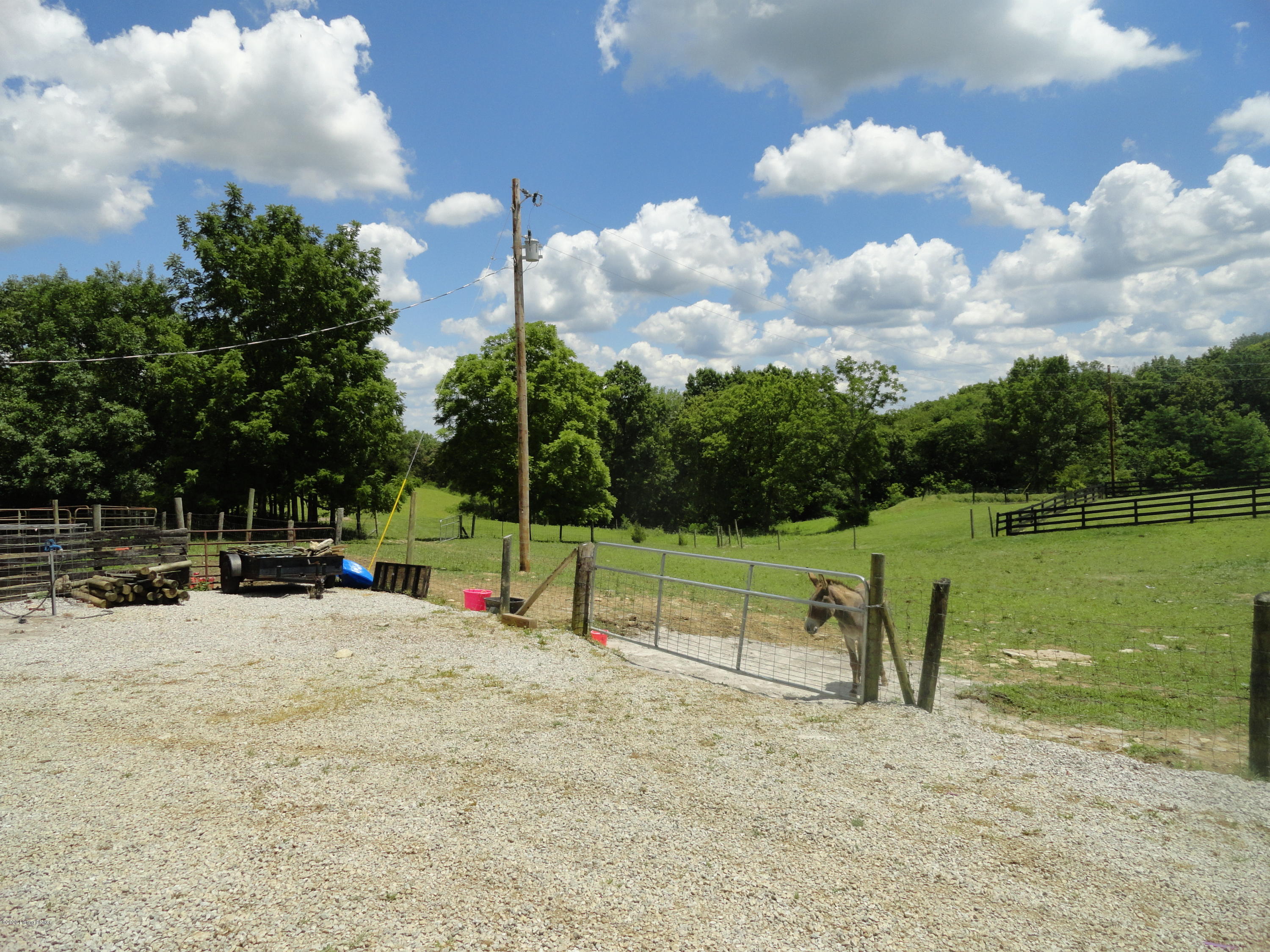 1170 Anderson City Road Lawrenceburg, KY 40342 - Photo 64 of 70 DSC03182