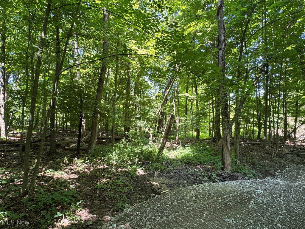 3 Wood Road Madison, OH 44057 - Photo 7 of 13
