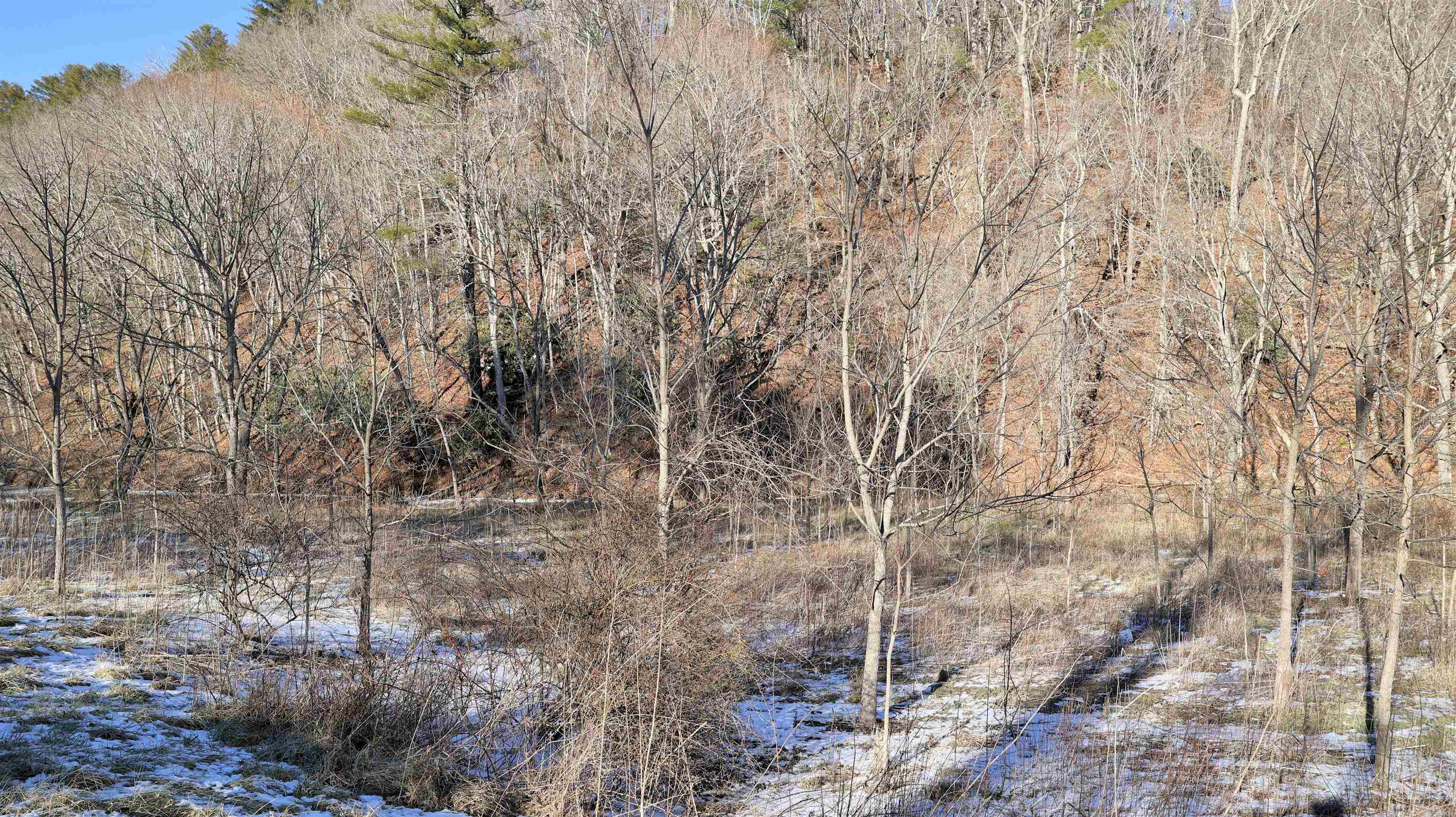 Tbd Webbs Mill Road North Floyd, VA 24091 - Photo 21 of 22 Gallery Image 21