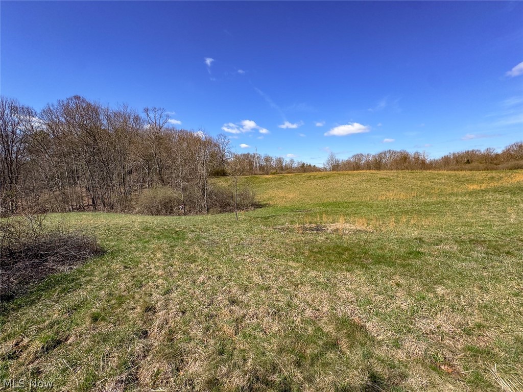 6880 Shaver Road Blue Rock, OH 43720 - Photo 16 of 36