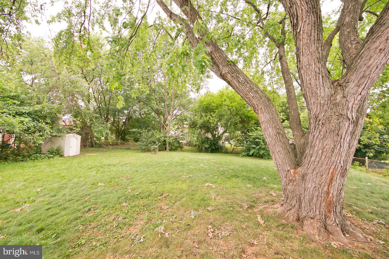 421 Beechcroft Road Winchester, VA 22601 - Photo 43 of 52 Gallery Image 43