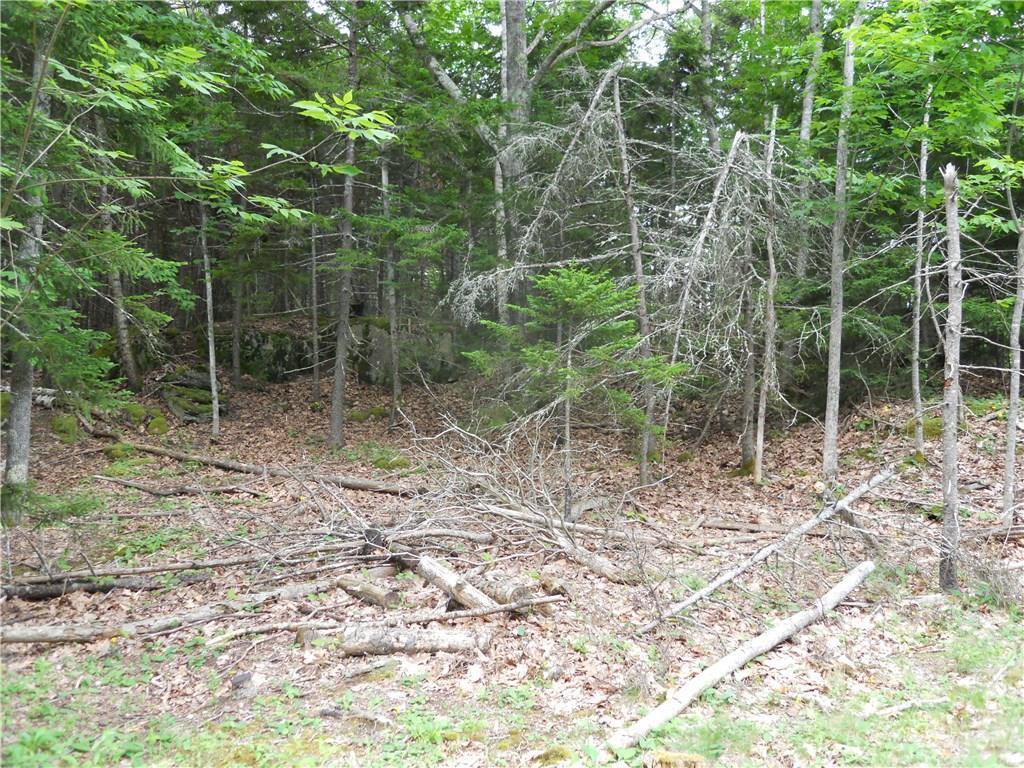 20-36 West Bay Road Islesboro, ME 04848 - Photo 3 of 9 Road front access