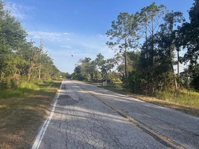 a view of a yard with large tree