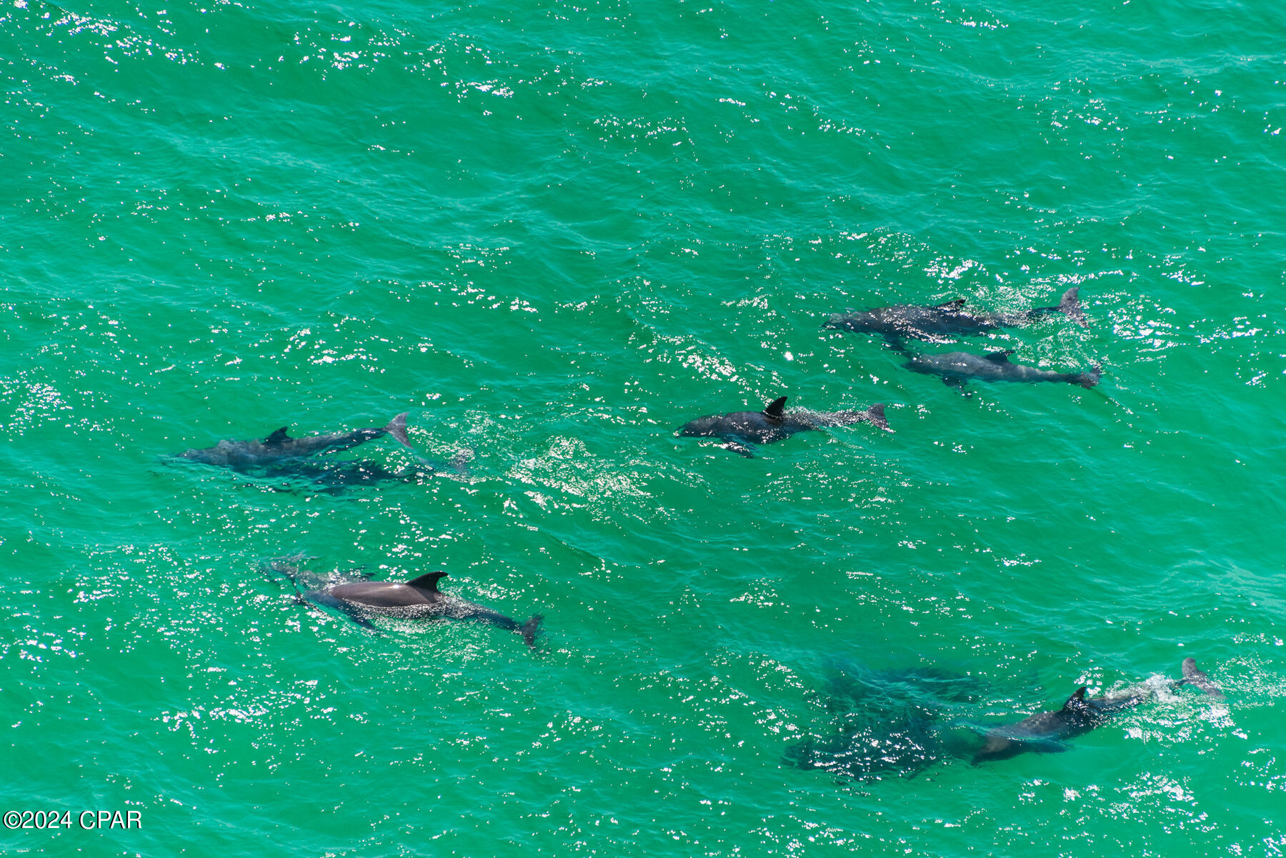 16819 Front Beach Road, Unit 1712 Panama City Beach, FL 32413 - Photo 49 of 54