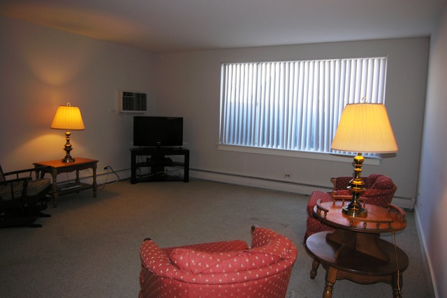 1106 South New Wilke Road, Unit 109 Arlington Heights, IL 60005 - Photo 7 of 15