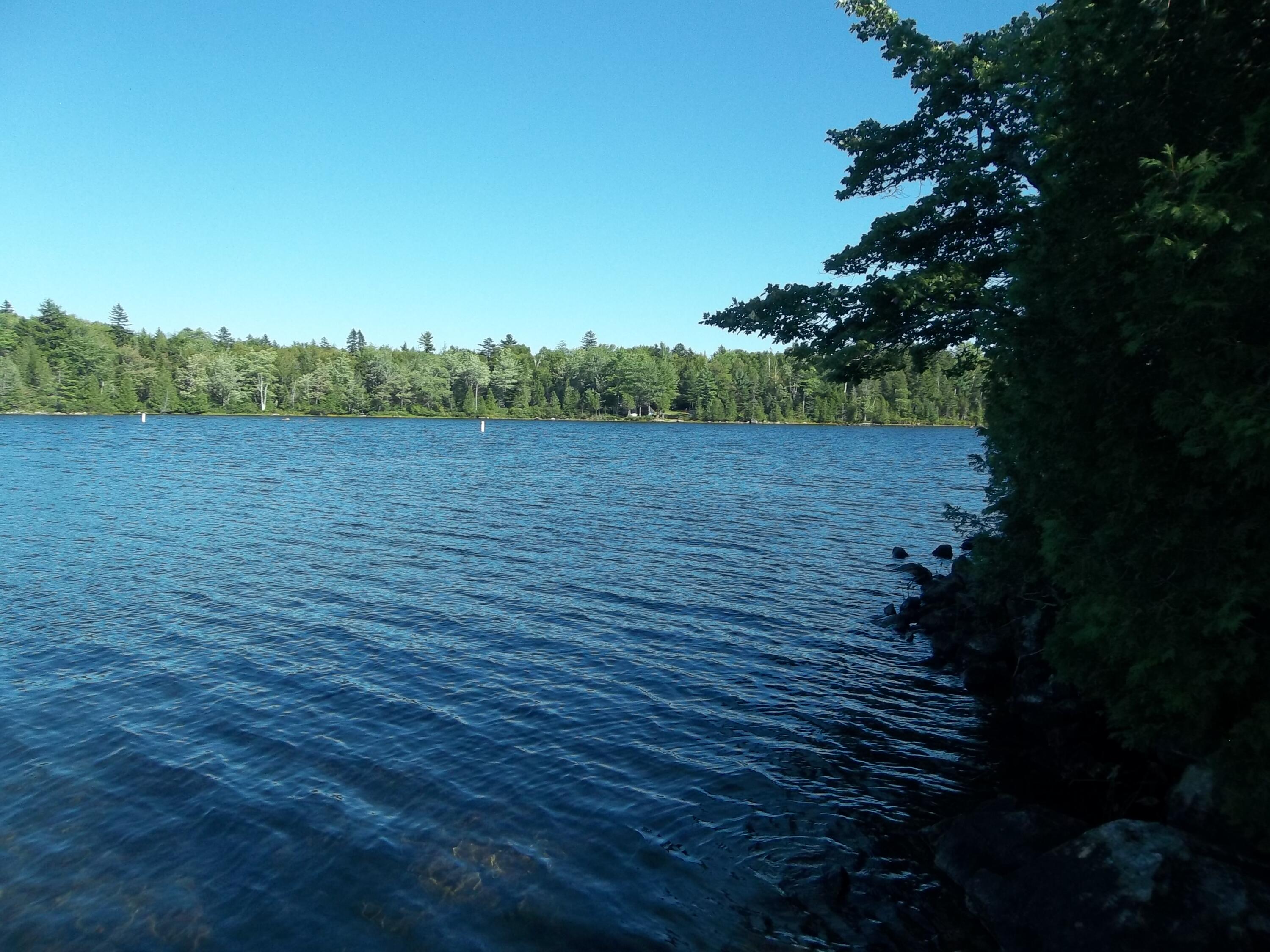 83 Cove Road Meddybemps, ME 04657 - Photo 22 of 31 100_0410