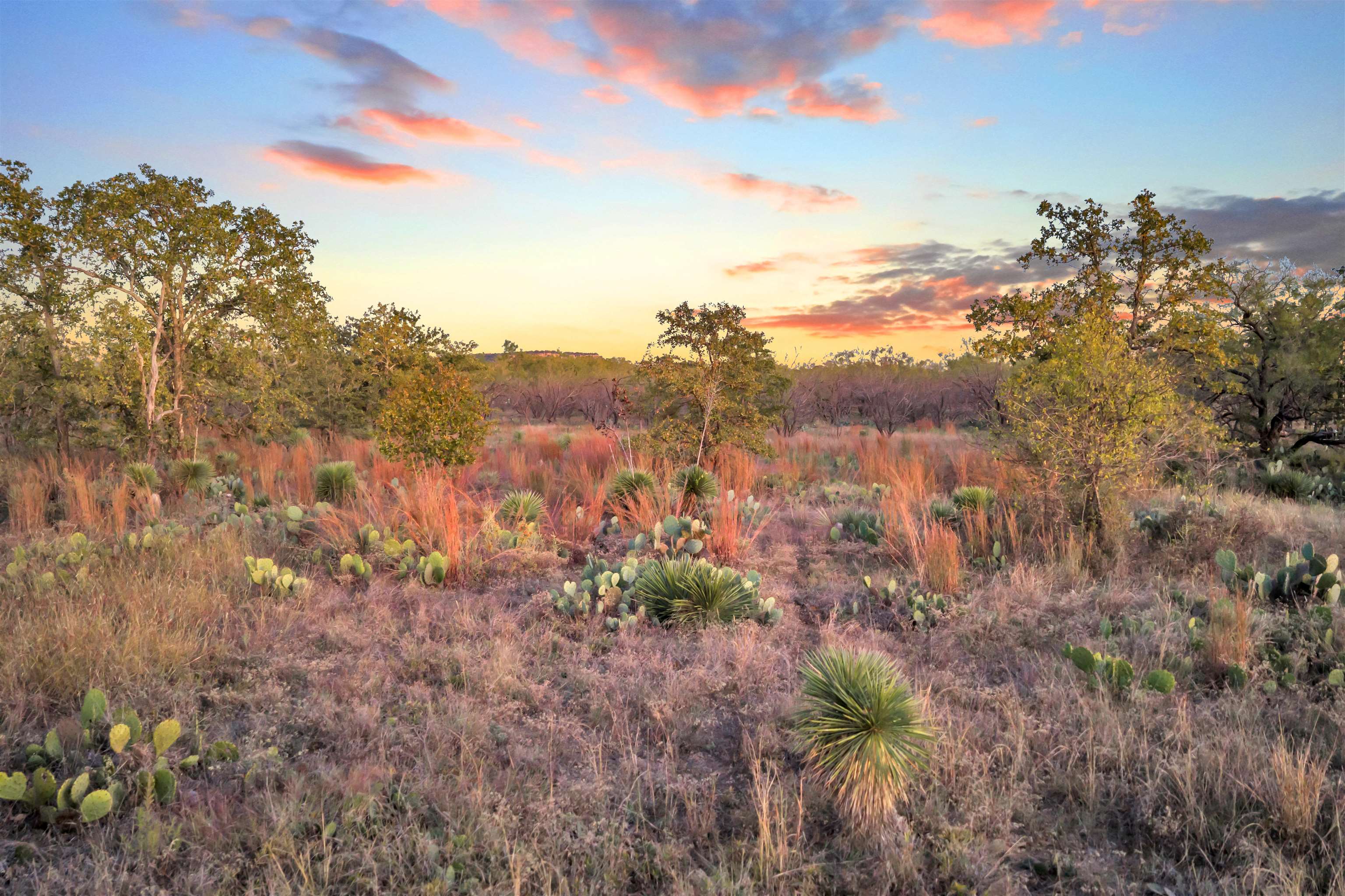 111 Quail Trail Marble Falls, TX 78654 - Photo 11 of 25 a view of a forest with a mountain