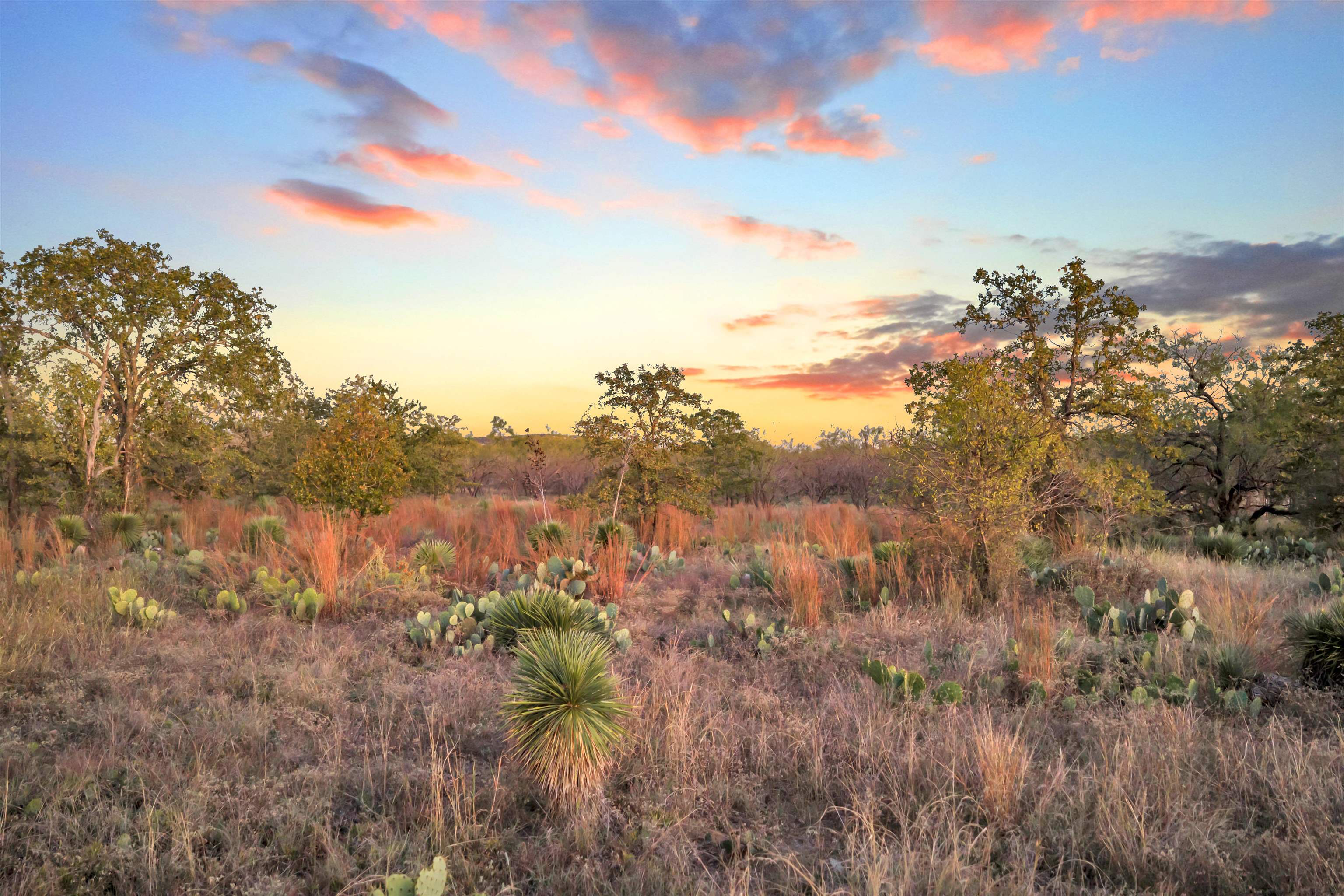 111 Quail Trail Marble Falls, TX 78654 - Photo 13 of 25
