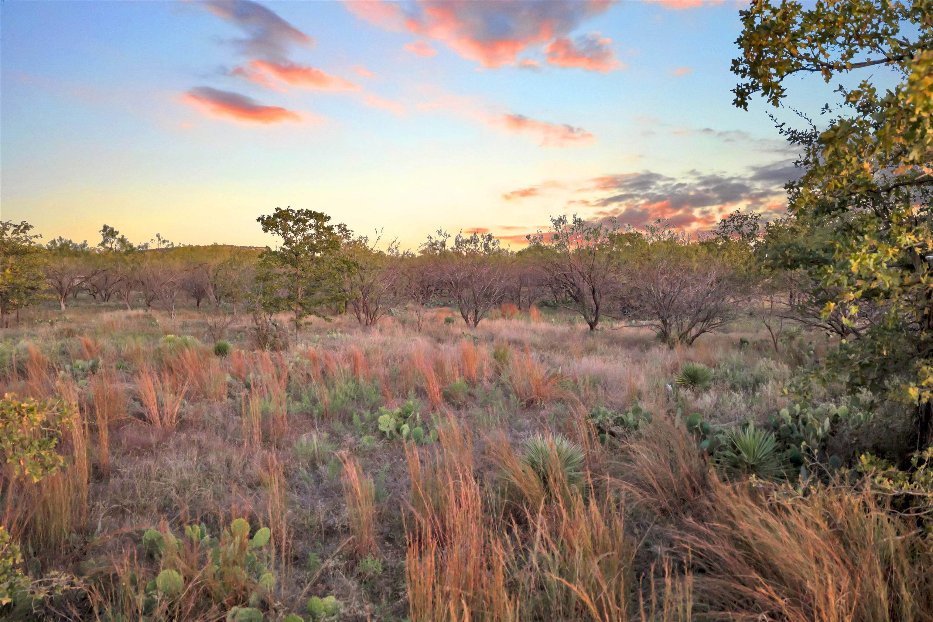 111 Quail Trail Marble Falls, TX 78654 - Photo 15 of 25 a view of a bunch of trees in a field