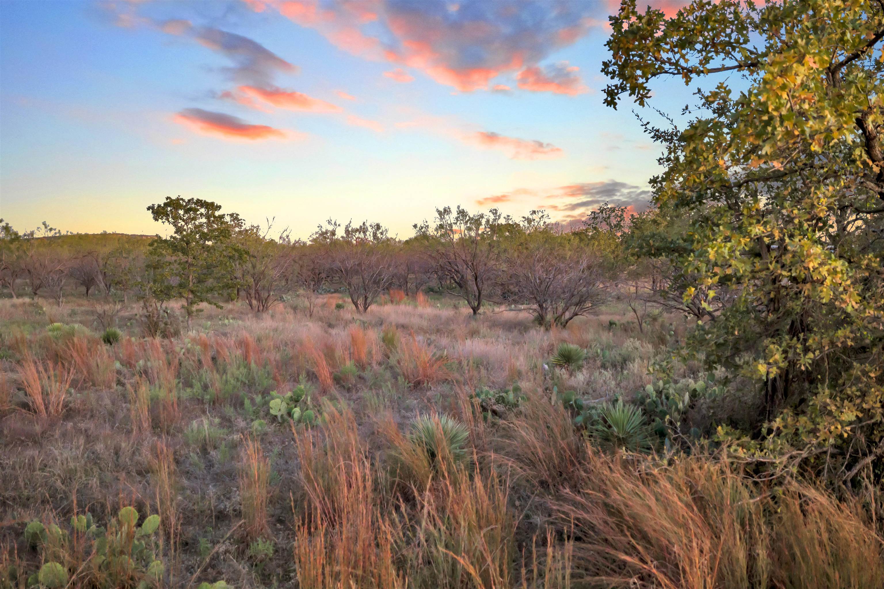 111 Quail Trail Marble Falls, TX 78654 - Photo 17 of 25 a view of a yard
