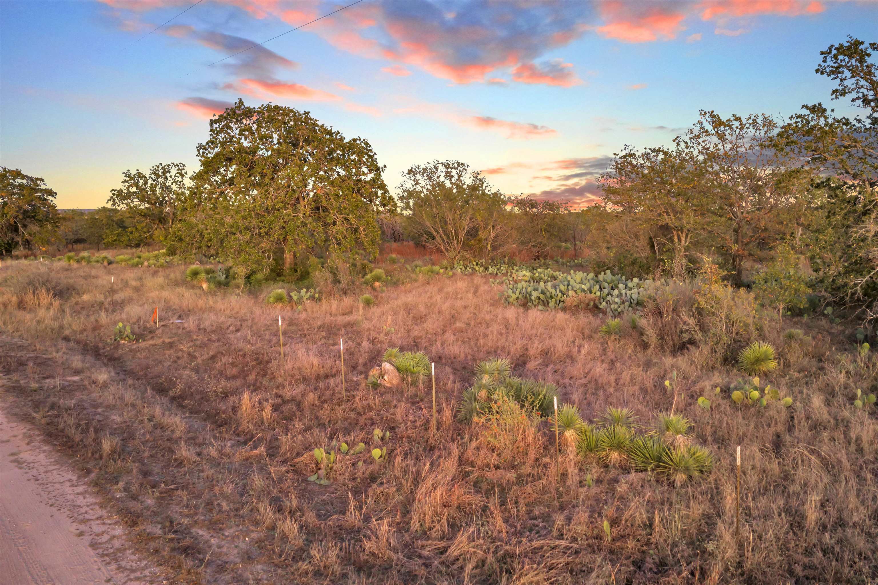 111 Quail Trail Marble Falls, TX 78654 - Photo 6 of 25 a view of a yard with a tree