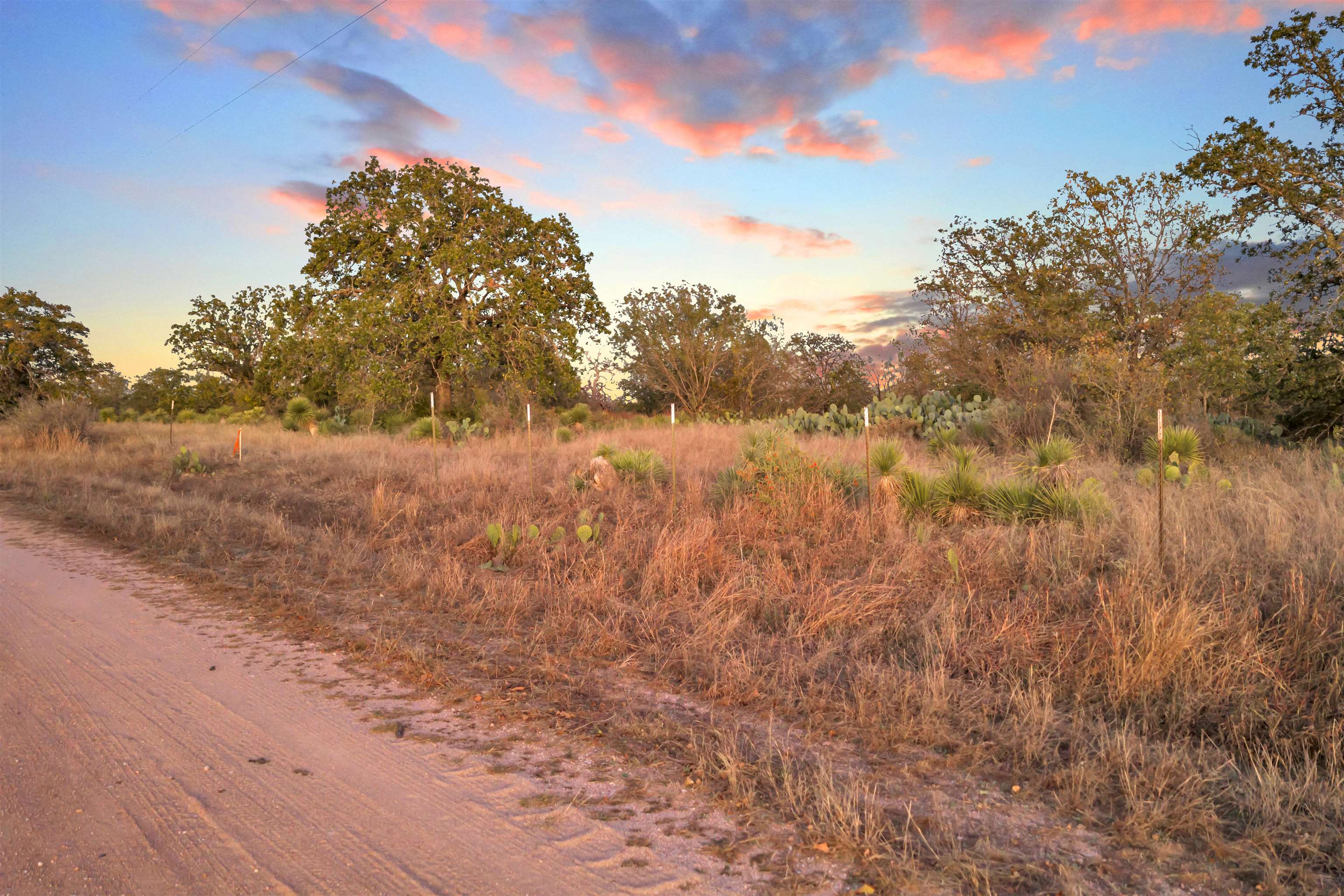 111 Quail Trail Marble Falls, TX 78654 - Photo 7 of 25 a view of lake view with lots of trees