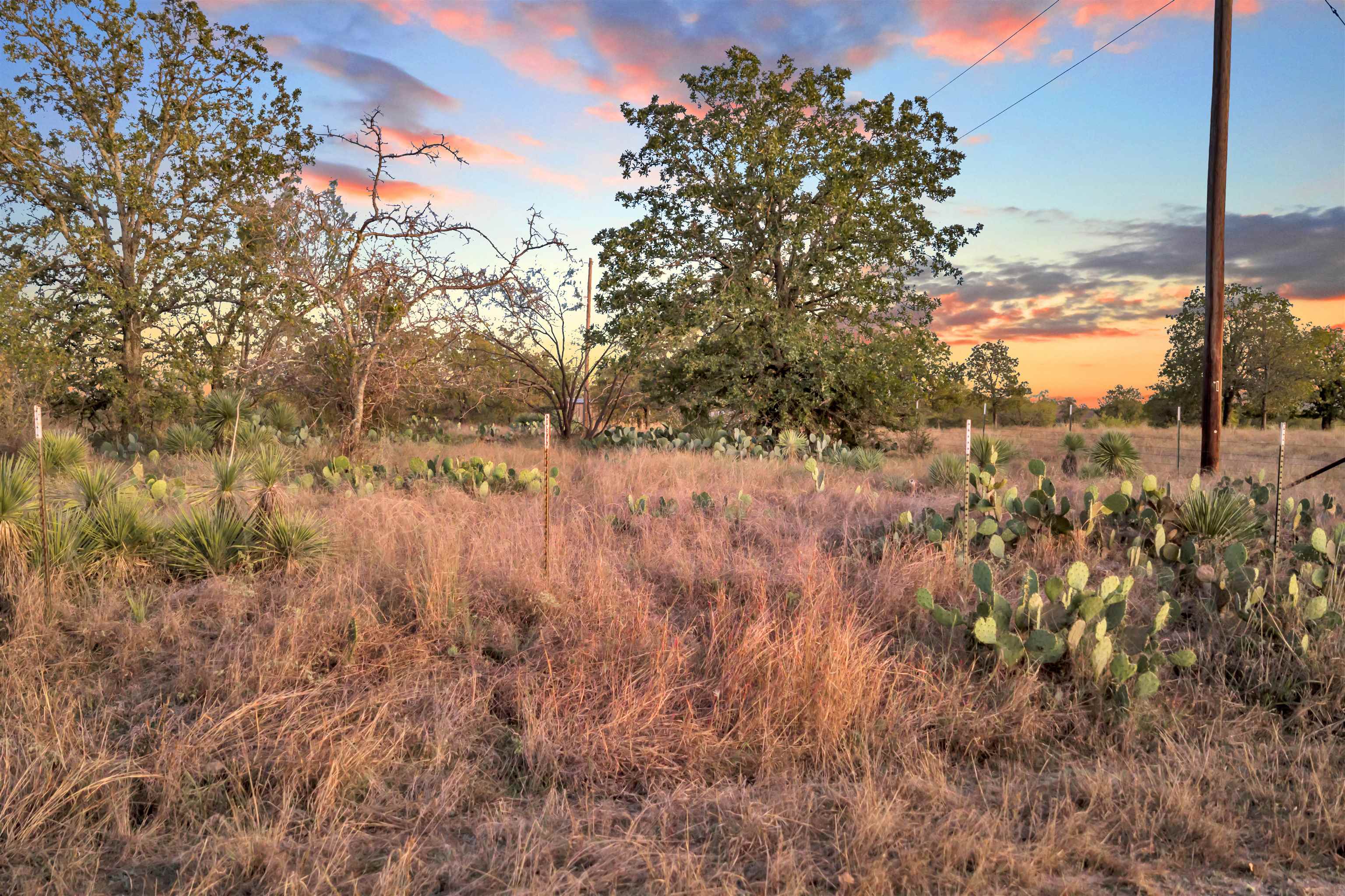 111 Quail Trail Marble Falls, TX 78654 - Photo 8 of 25