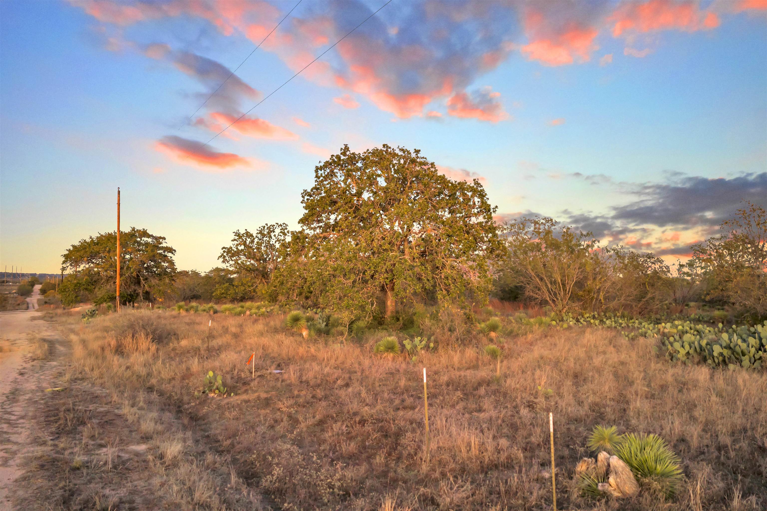 111 Quail Trail Marble Falls, TX 78654 - Photo 9 of 25 a view of a field