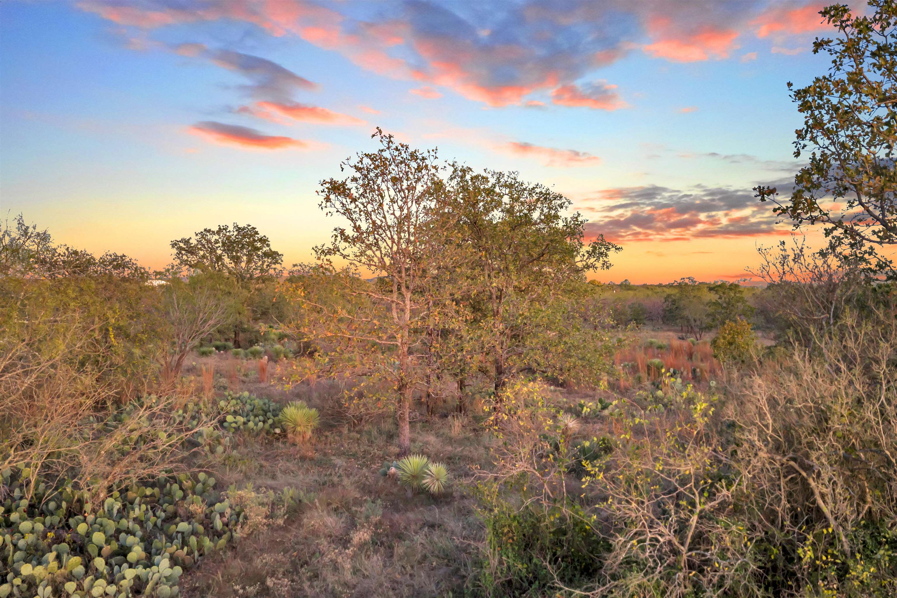 111 Quail Trail Marble Falls, TX 78654 - Photo 10 of 25 a view of mountain view with lots of trees