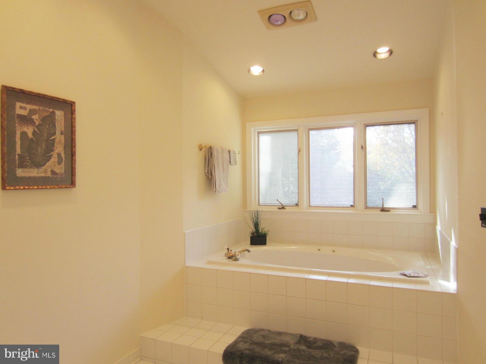 7325 Churchill Road McLean, VA 22101 - Photo 8 of 30 Bath (Master)
