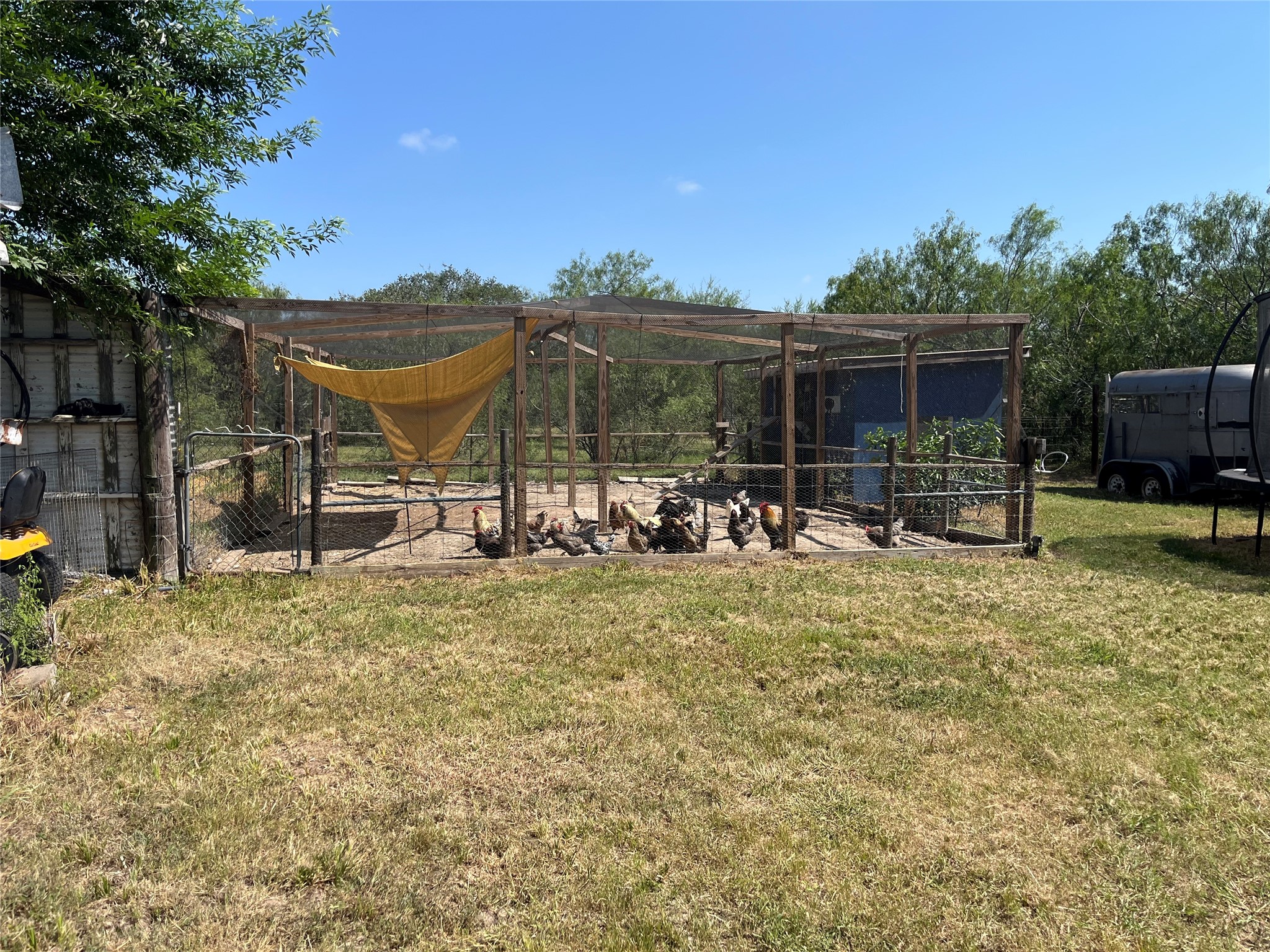 796 Shelly Road Goliad, TX 77963 - Photo 32 of 37 Gallery Image 32