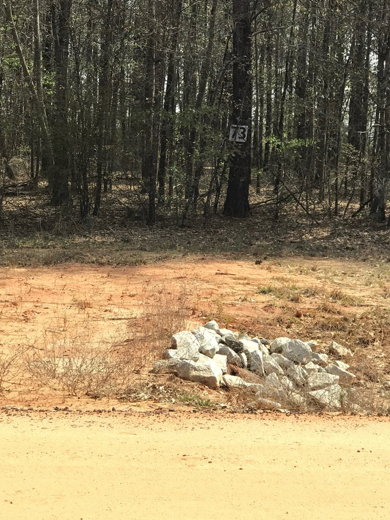 Lot 21 Stapleton Acres Court Stapleton, GA 30823 - Photo 3 of 4 Gallery Image 3