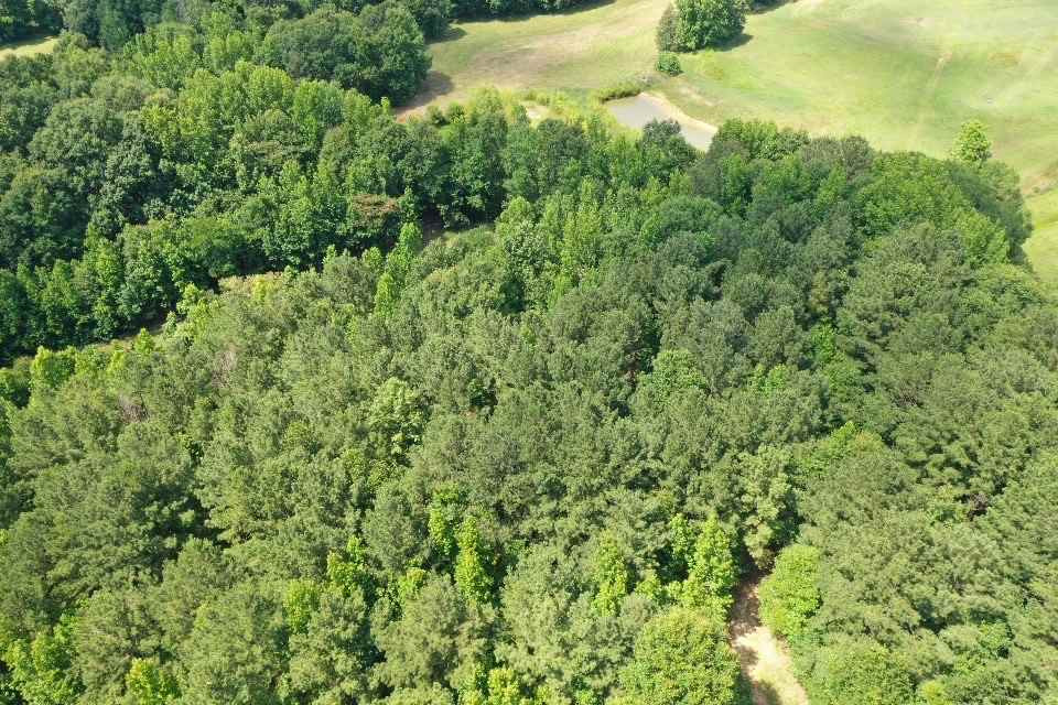 1 Cedar Hill Road Flora, MS 39071 - Photo 6 of 14 Photo 6