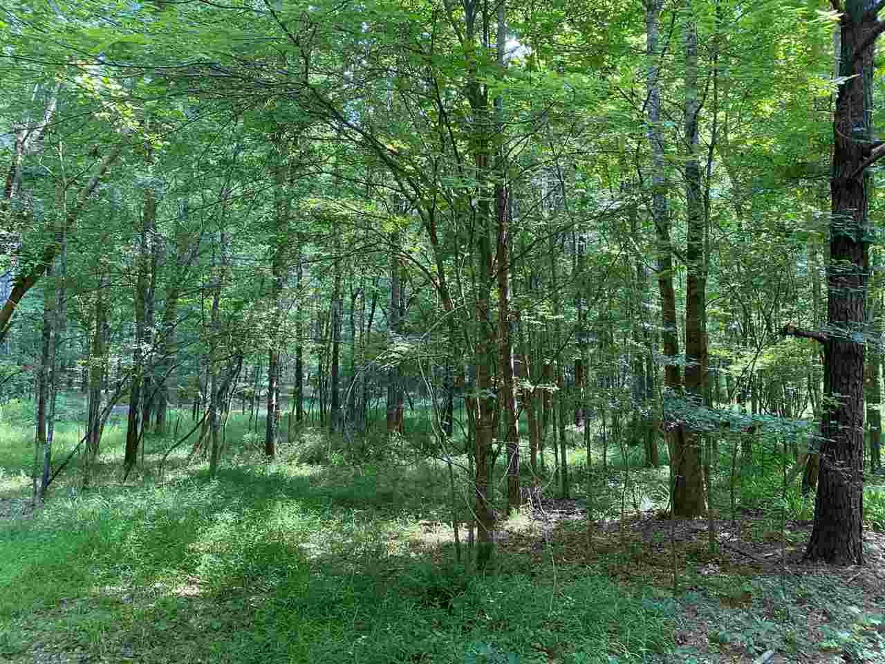 1 Cedar Hill Road Flora, MS 39071 - Photo 8 of 14 Photo 8