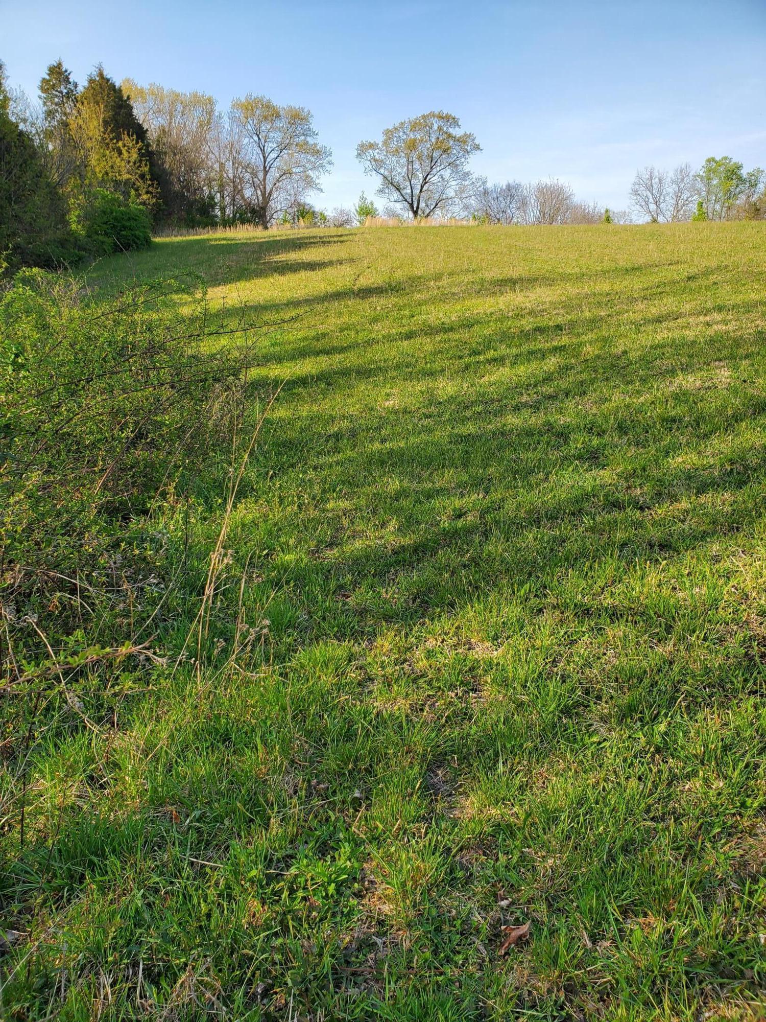 Tbd Kenneth Roach Lane, Unit 6 Rutledge, TN 37861 - Photo 1 of 1 20210407_175246