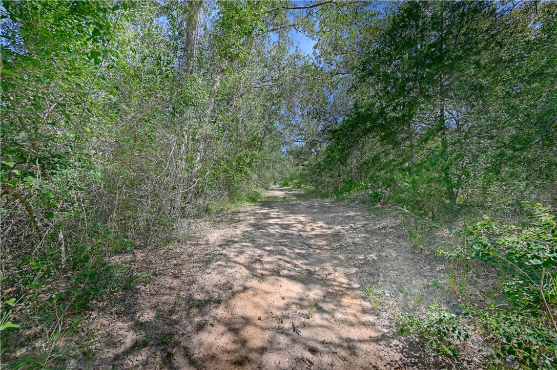 8595 Jared Road Bellville, TX 77418 - Photo 43 of 45 Trail view