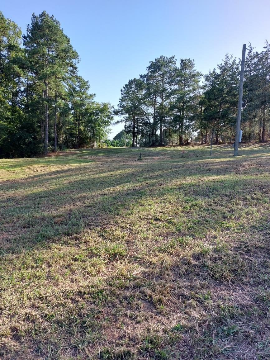327 Deep Water Road Union, SC 29379 - Photo 2 of 4