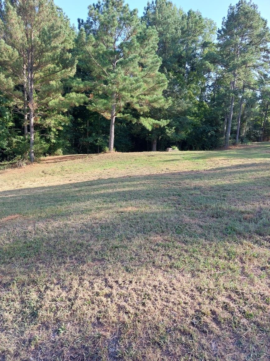 327 Deep Water Road Union, SC 29379 - Photo 3 of 4