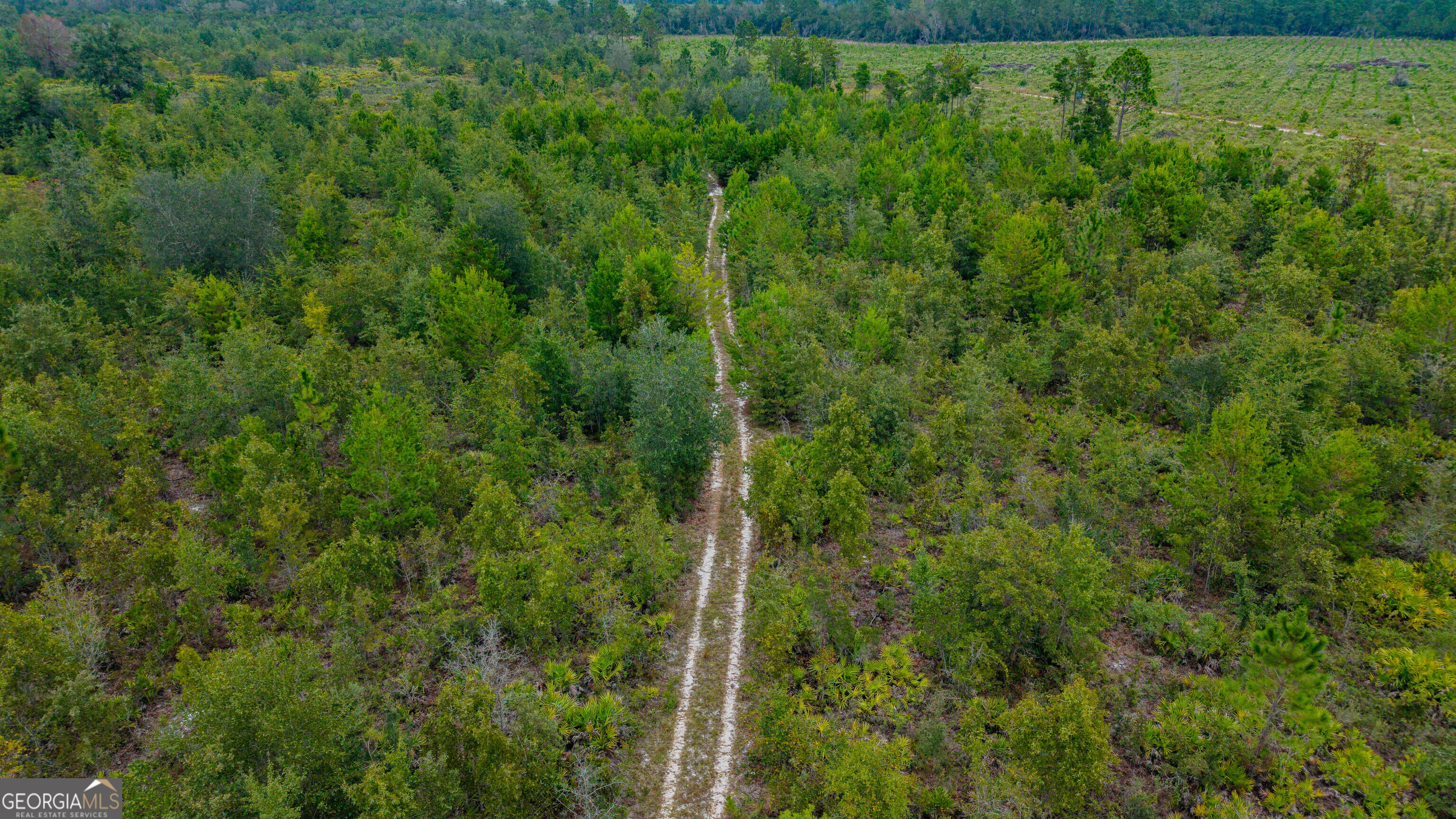 0 Bennett Road Screven, GA 31560 - Photo 48 of 52 Gallery Image 48