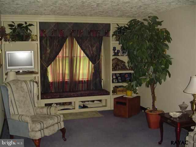 3737 Steltz Road New Freedom, PA 17349 - Photo 13 of 31