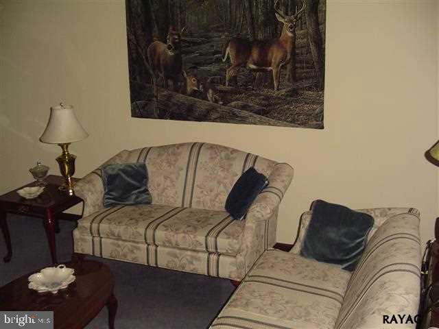 3737 Steltz Road New Freedom, PA 17349 - Photo 14 of 31