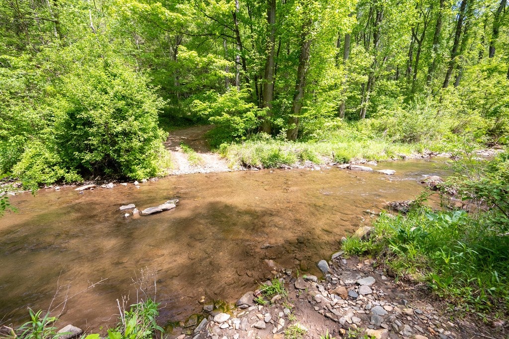 56-acres Runnett Bag Road Ferrum, VA 24088 - Photo 5 of 44 Gallery Image 5